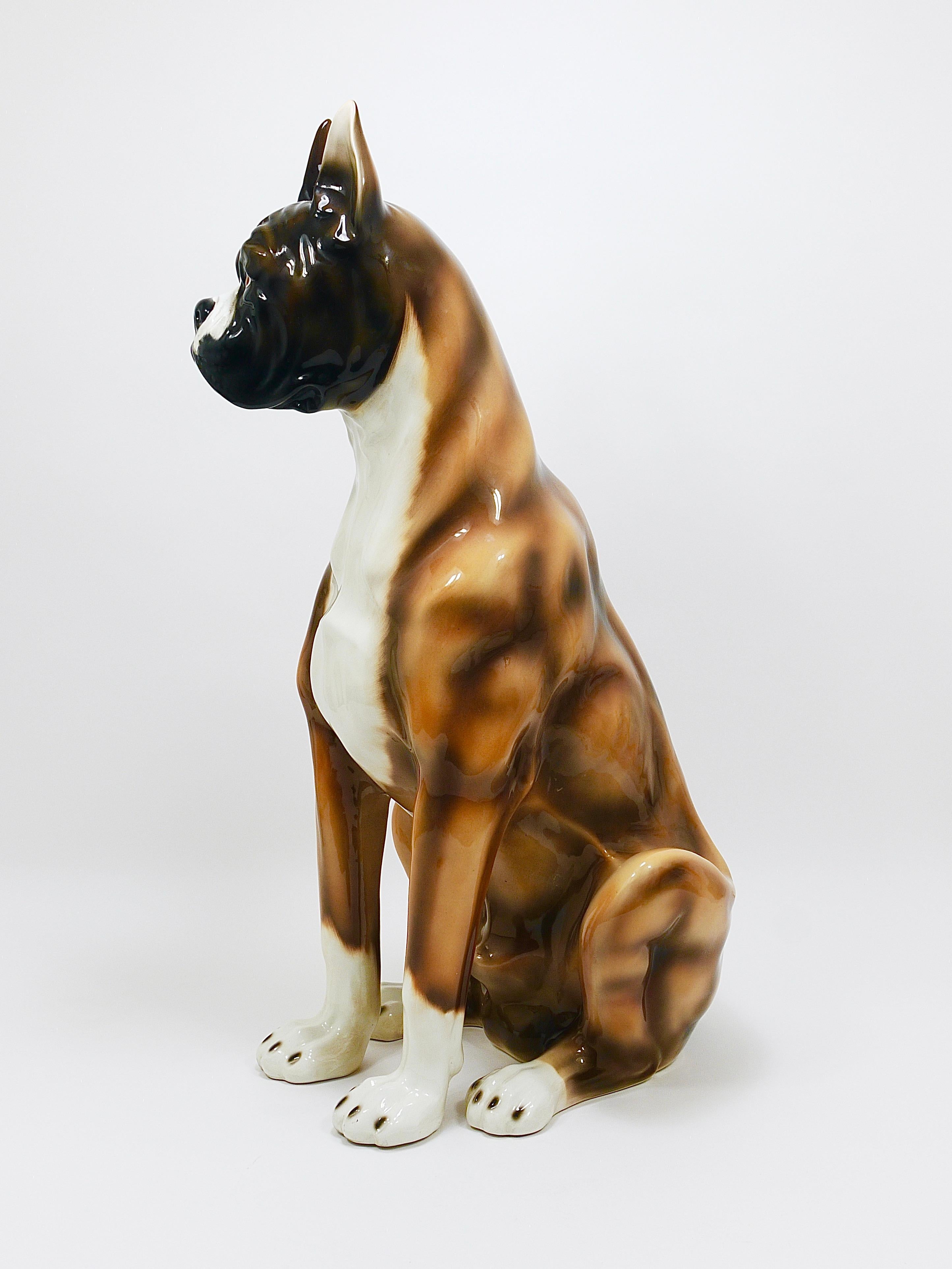 Boxer Dog Life-Size Majolica Statue Sculpture, Glazed Ceramic, Italy, 1970s For Sale 9