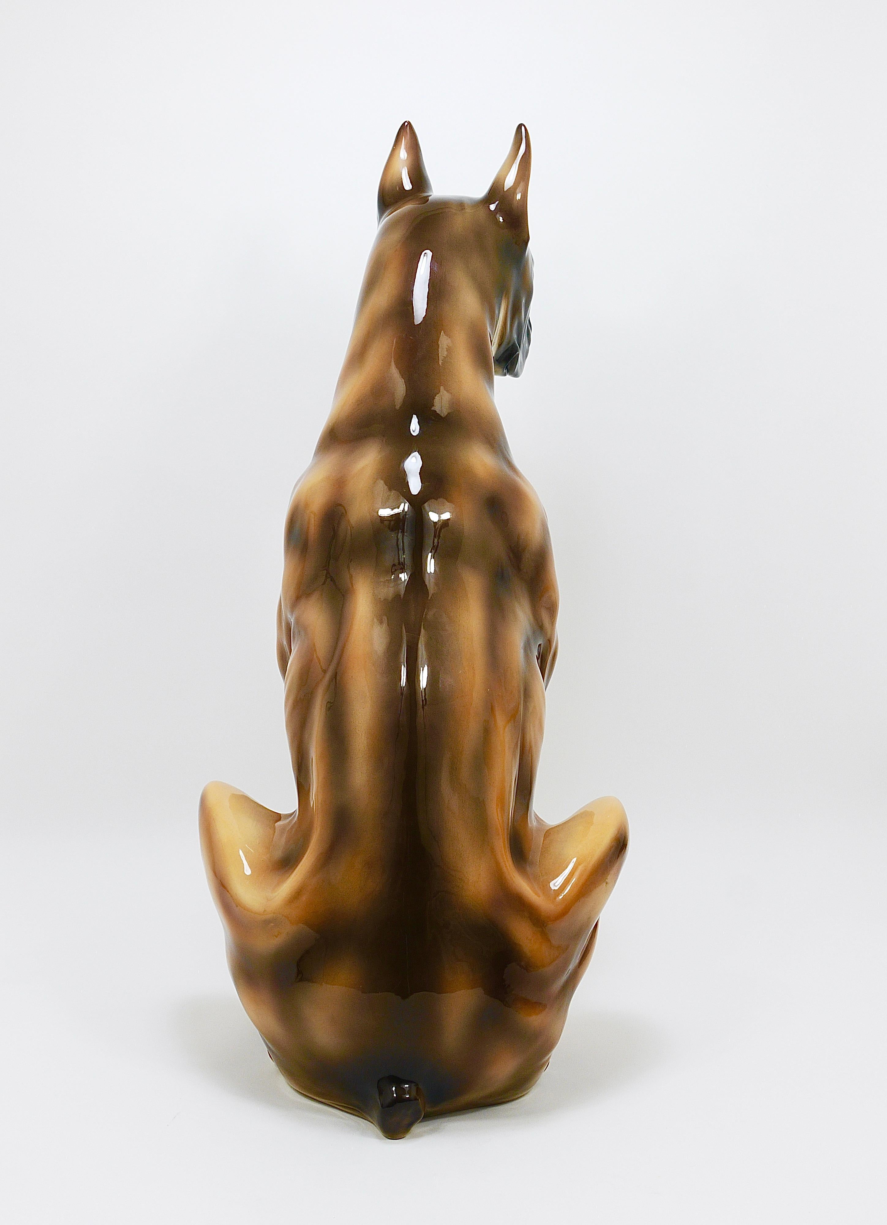 Boxer Dog Life-Size Majolica Statue Sculpture, Glazed Ceramic, Italy, 1970s For Sale 11