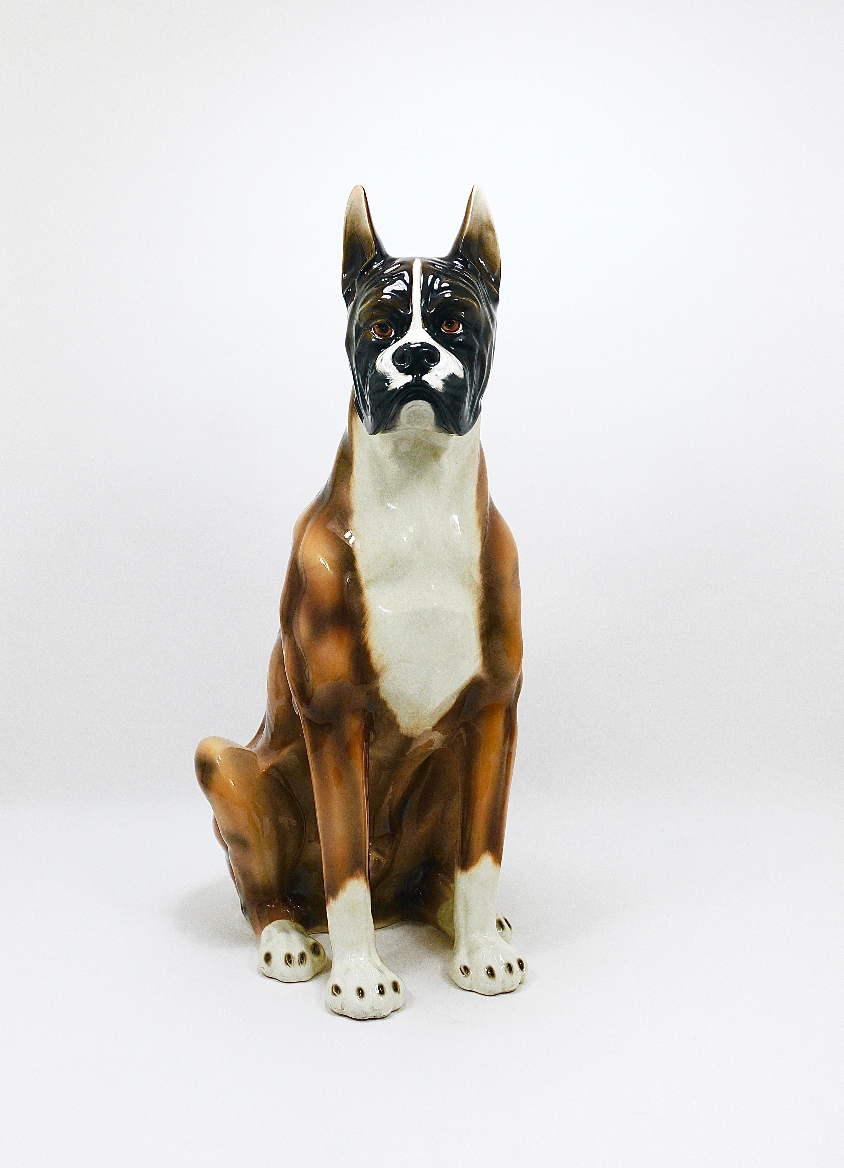 An eye-catching and ornamental vintage life-size figurine of a boxer dog, standing 34 inches tall. This handcrafted and hand-painted statue, made from glazed ceramic/pottery, was produced in Italy during the 1970s. It remains in very good condition,