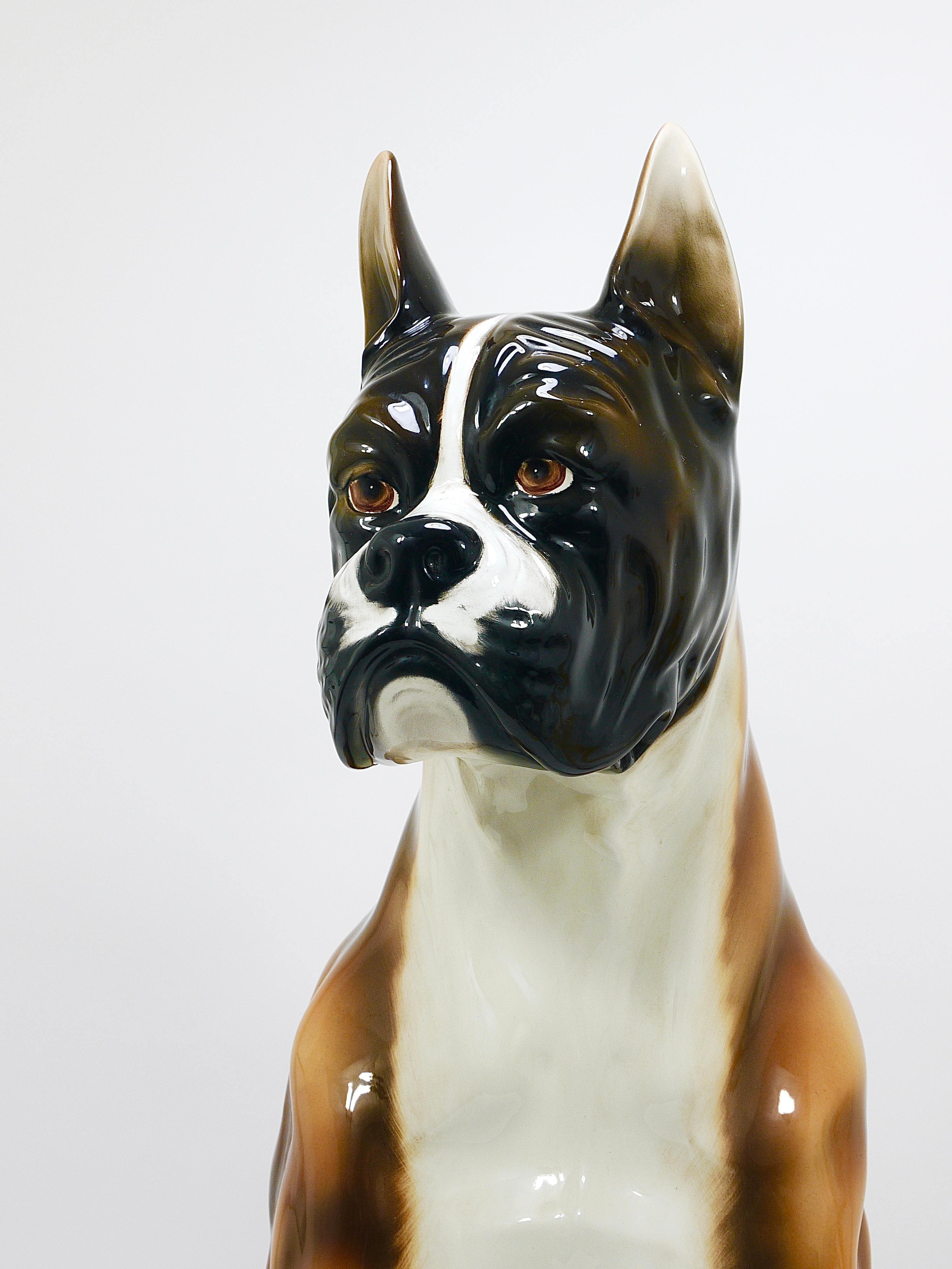 Vernissé Boxer Dog Life-Size Majolica Statue Sculpture, céramique émaillée, Italie, années 1970 en vente