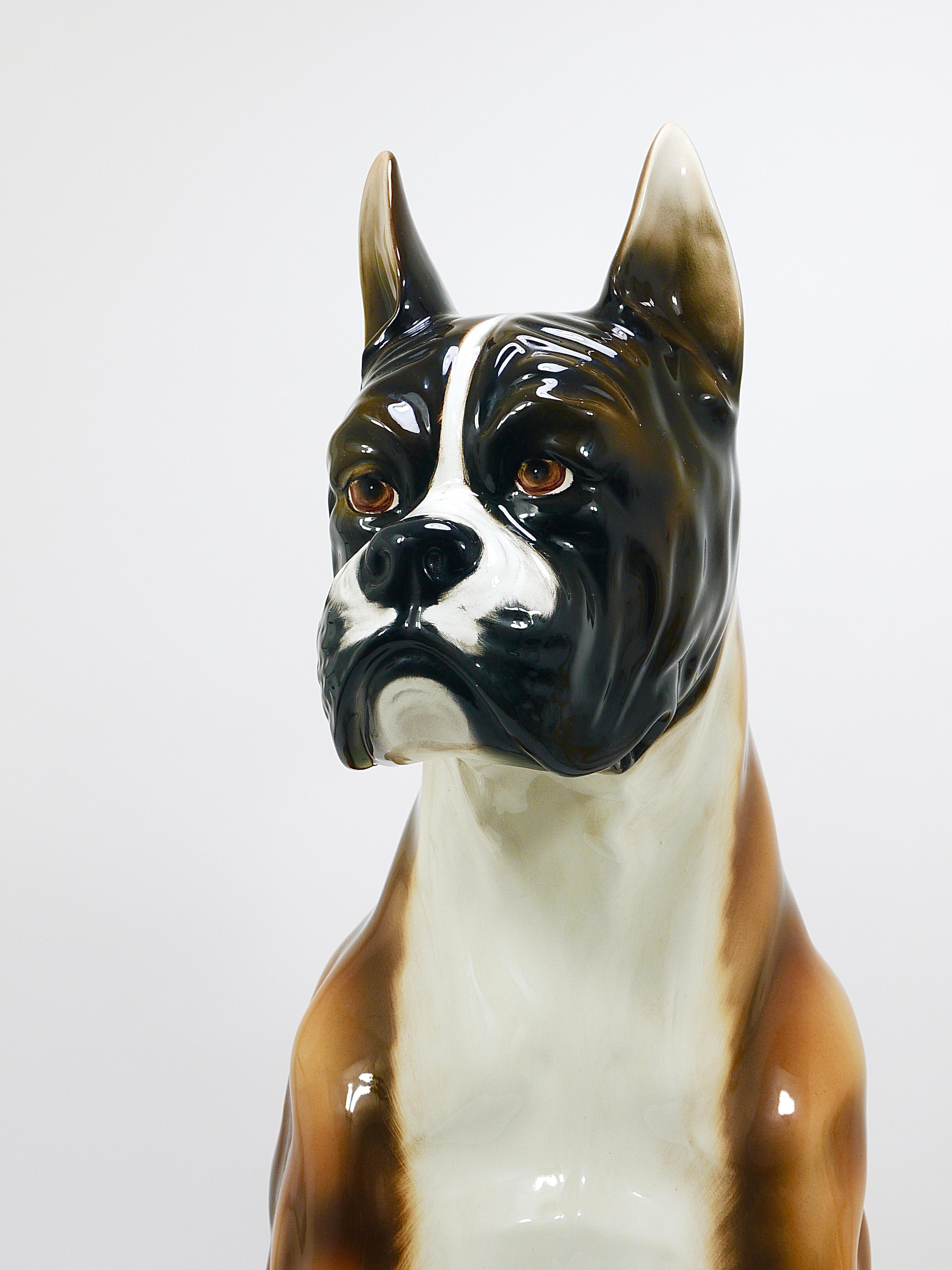 Smaltato Statua scultura in maiolica a grandezza naturale di cane boxer, ceramica smaltata, Italia, anni '70 in vendita