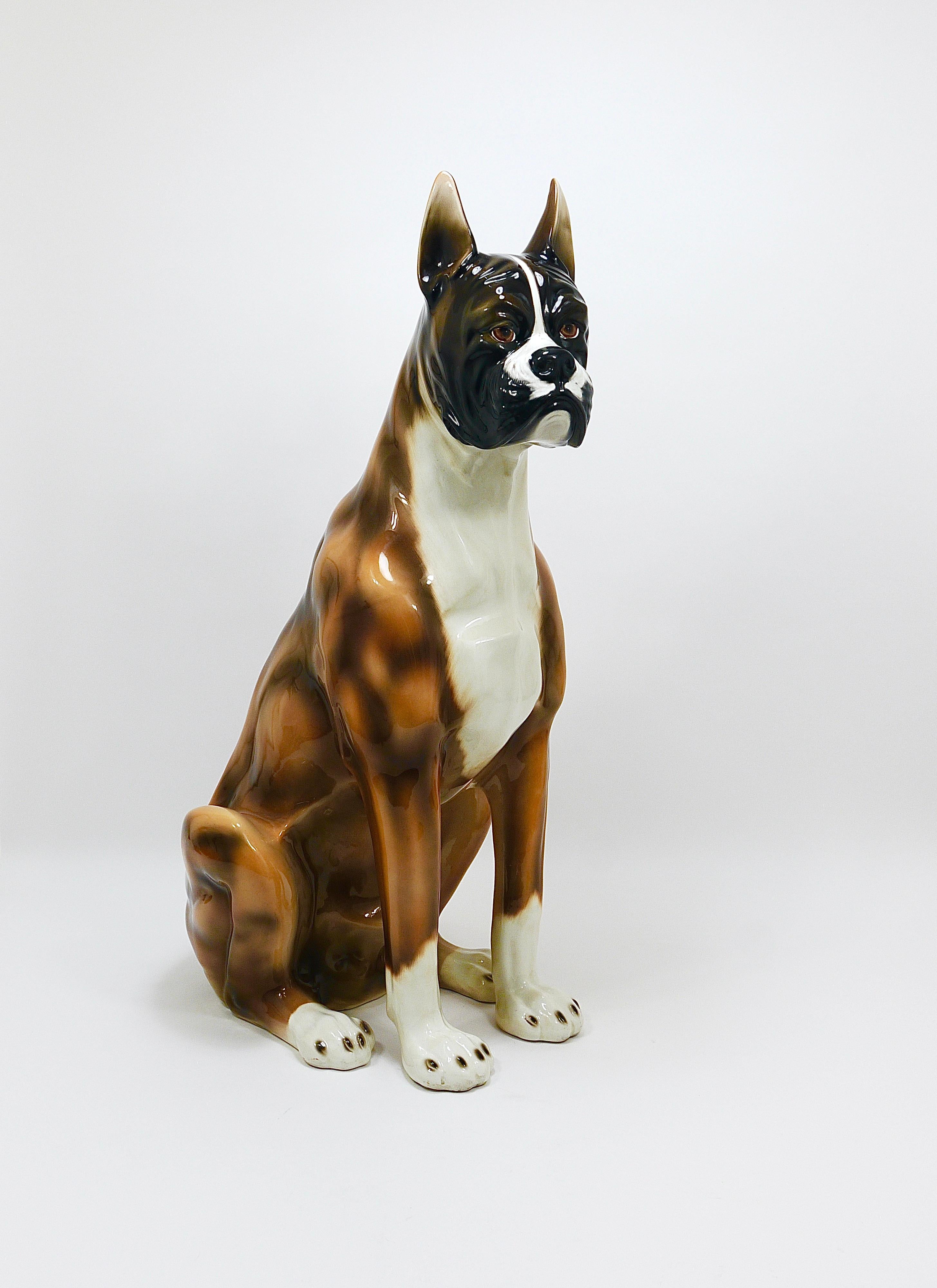 20th Century Boxer Dog Life-Size Majolica Statue Sculpture, Glazed Ceramic, Italy, 1970s For Sale