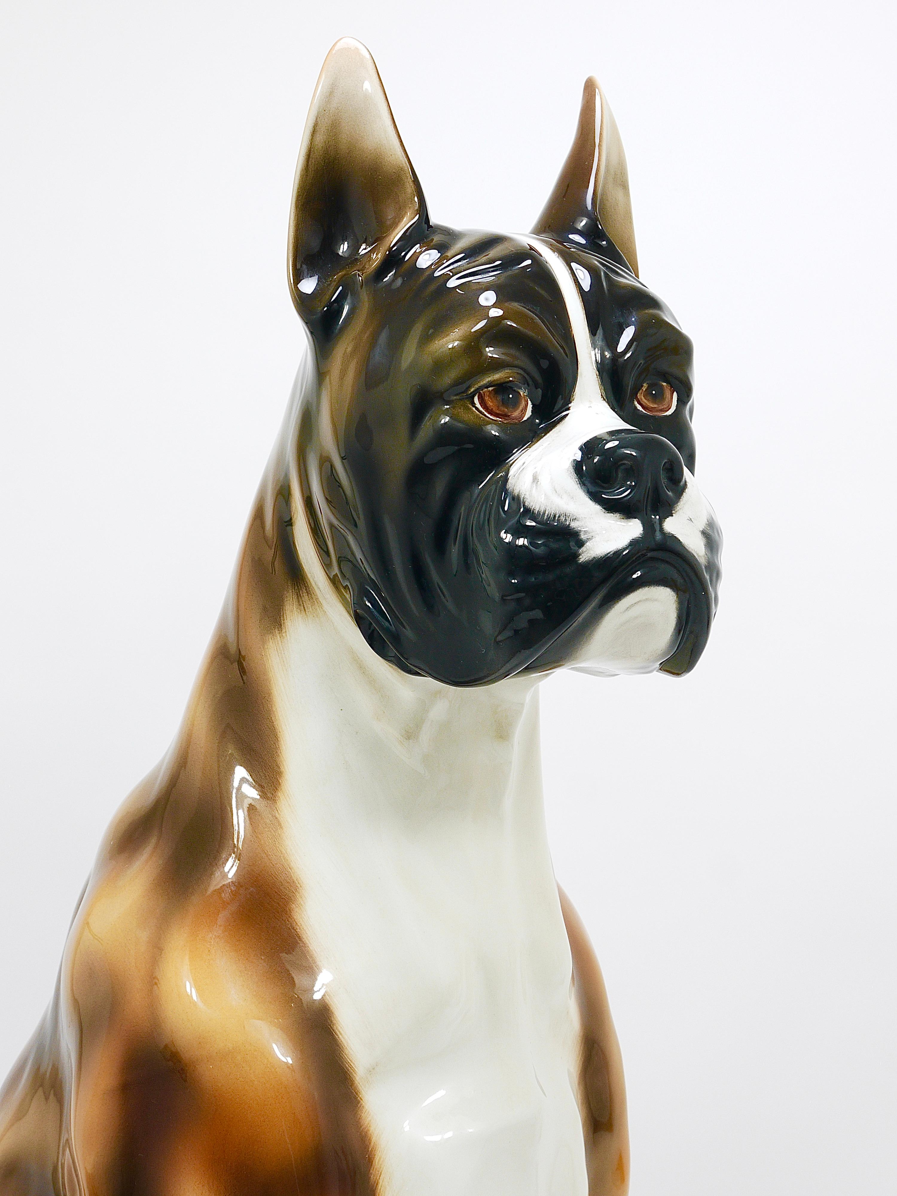 20ième siècle Boxer Dog Life-Size Majolica Statue Sculpture, céramique émaillée, Italie, années 1970 en vente