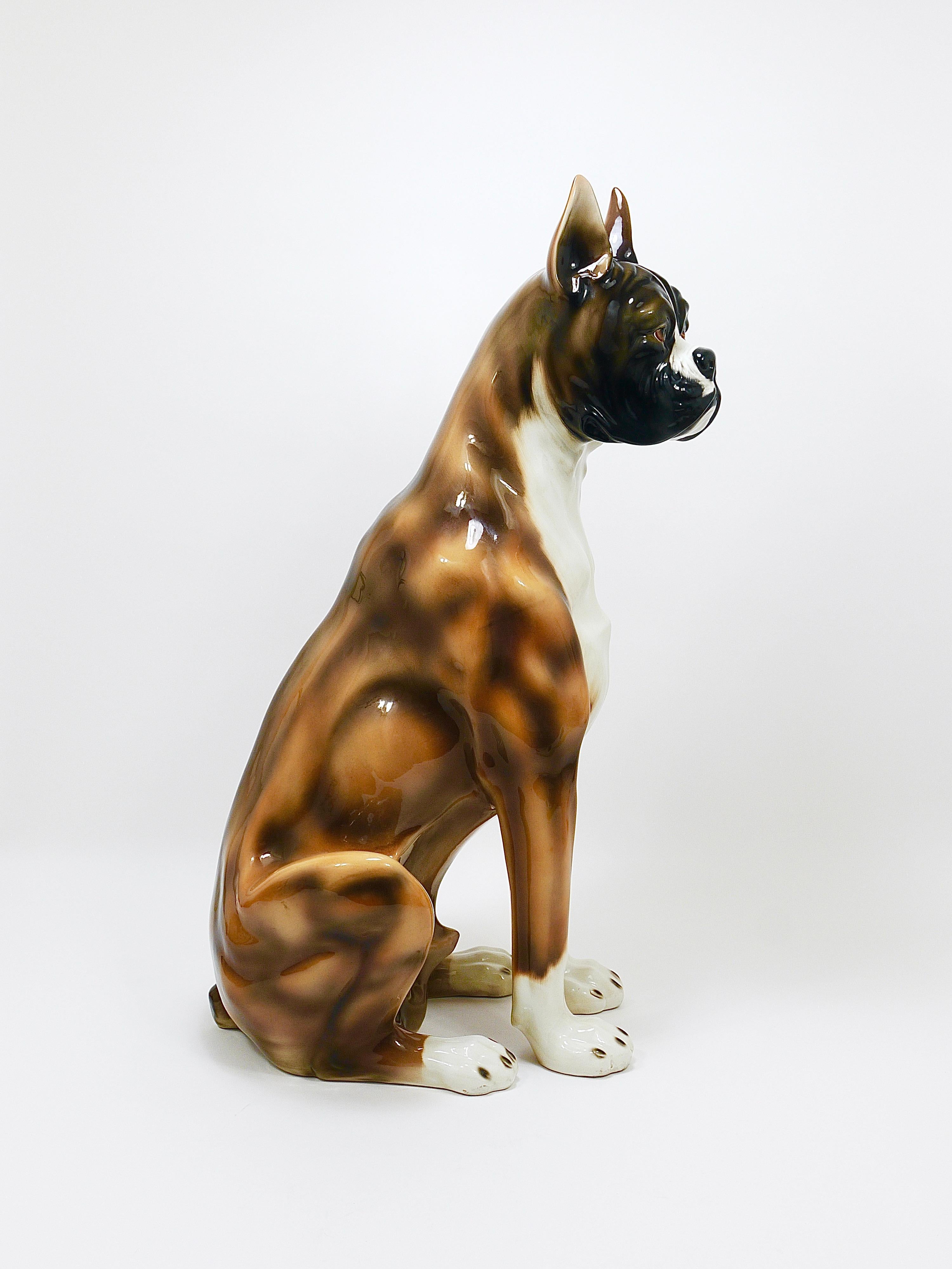Boxer Dog Life-Size Majolica Statue Sculpture, Glazed Ceramic, Italy, 1970s For Sale 2