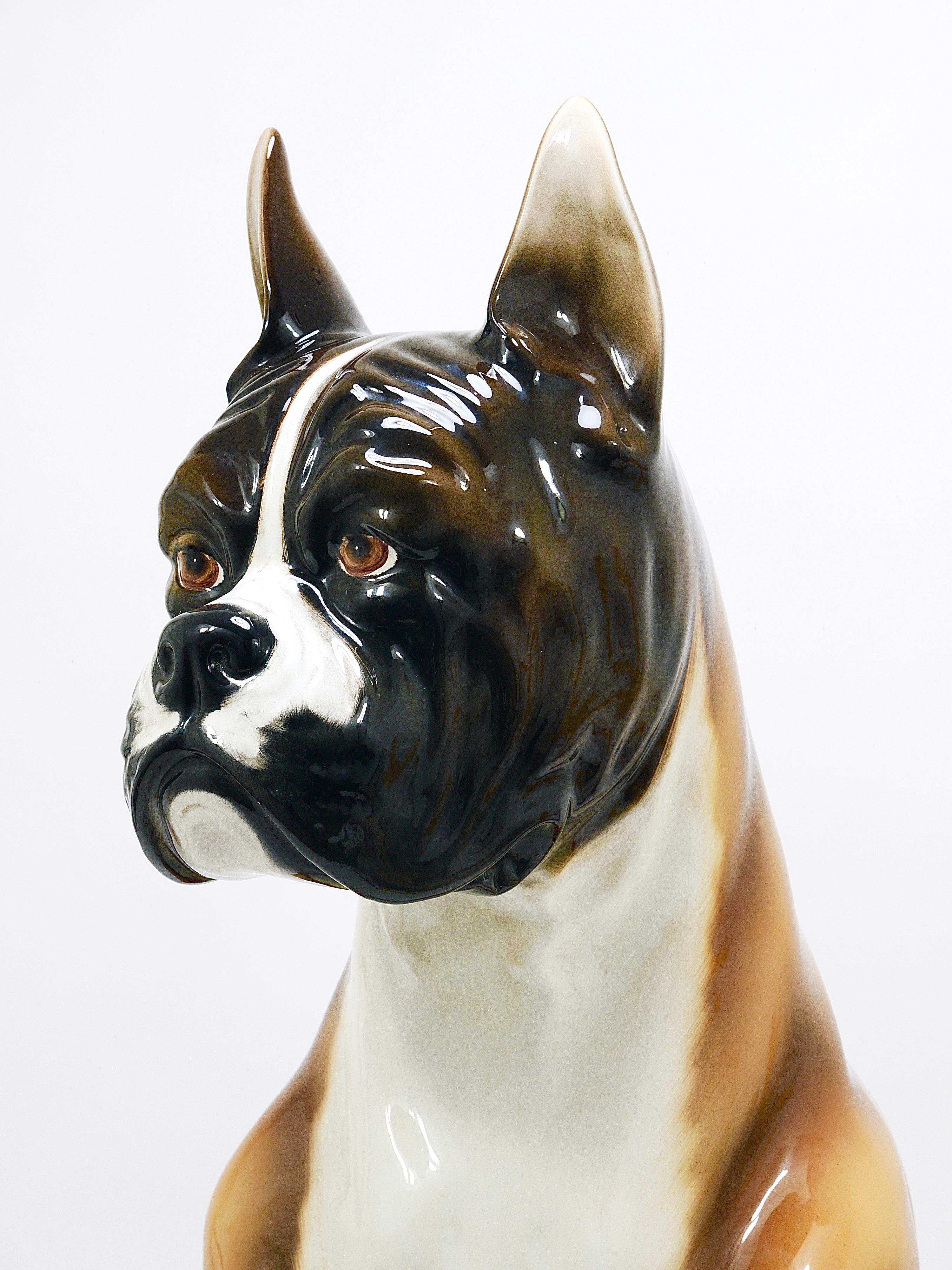 Boxer Dog Life-Size Majolica Statue Sculpture, céramique émaillée, Italie, années 1970 en vente 1