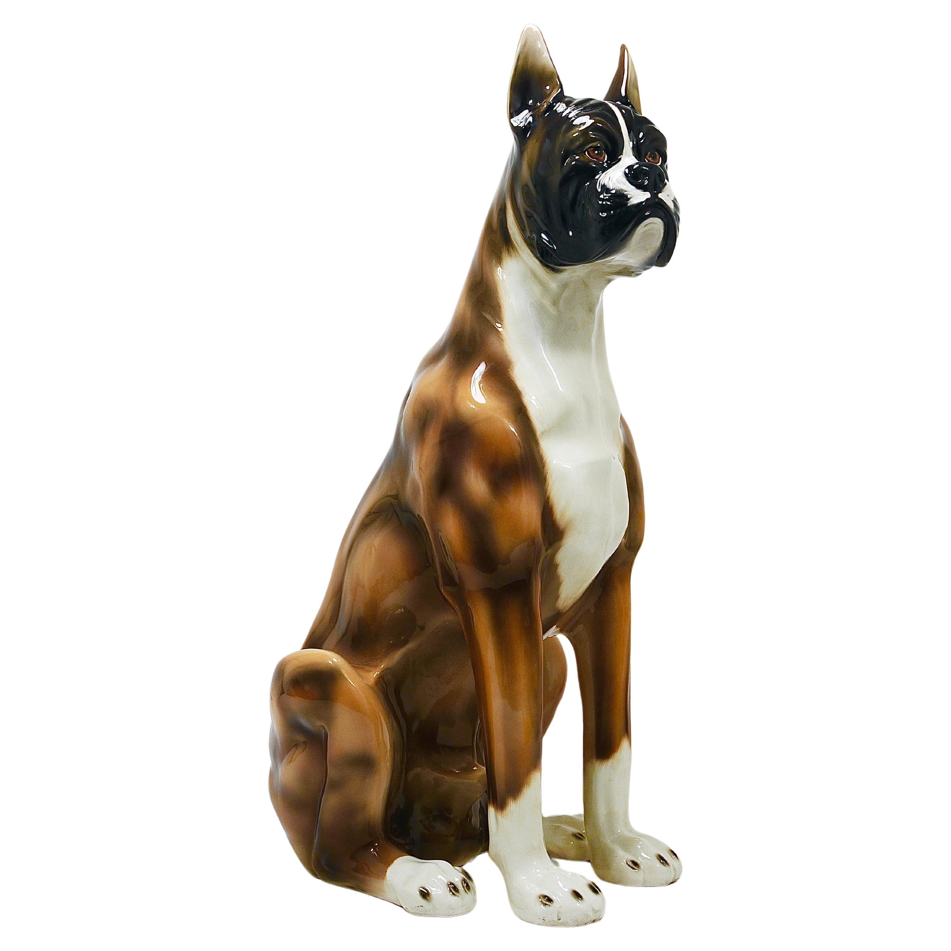 Boxer Dog Life-Size Majolica Statue Sculpture, Glazed Ceramic, Italy, 1970s For Sale