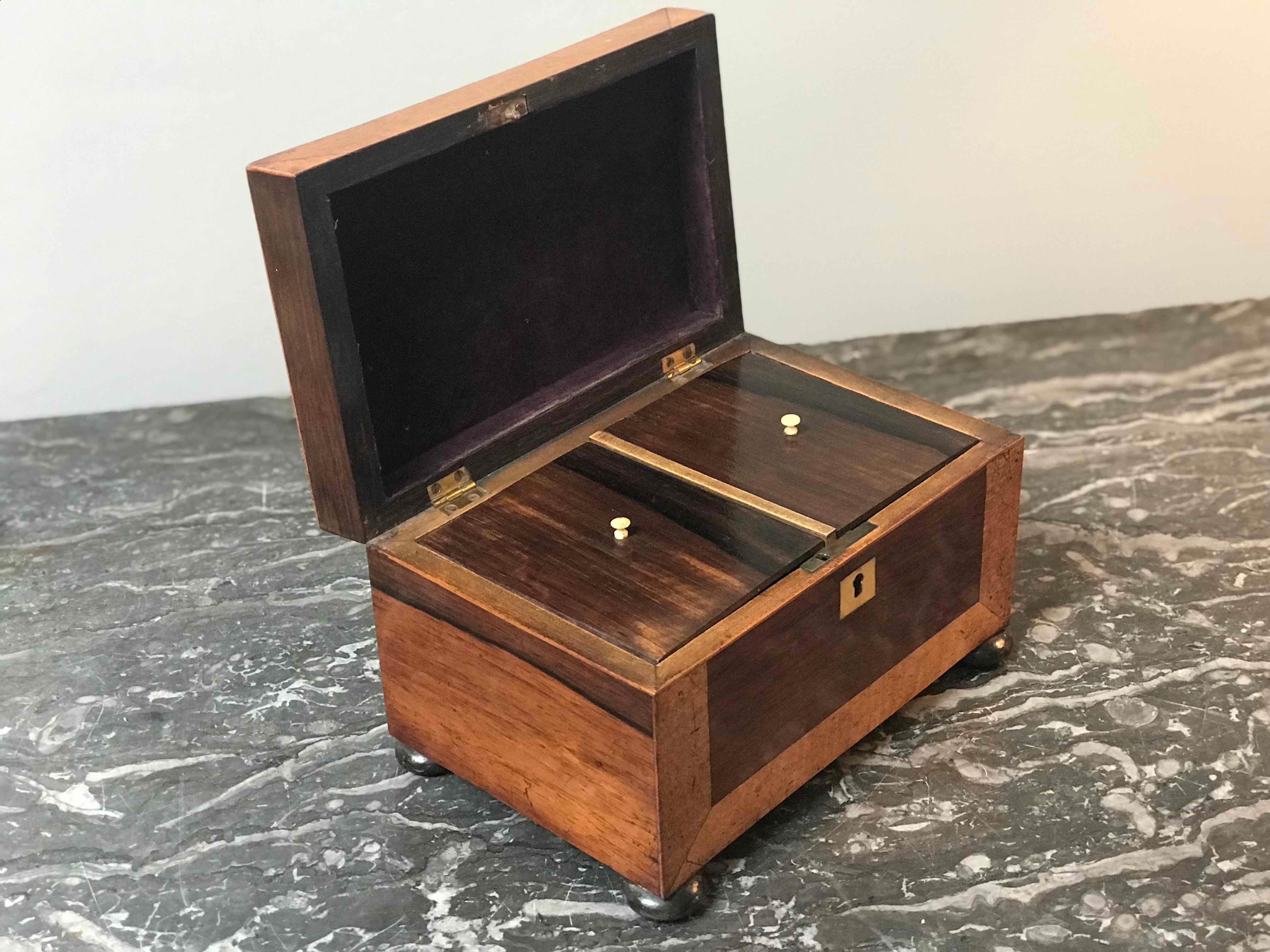 English Boxwood Tea Caddy from Early 19th Century England