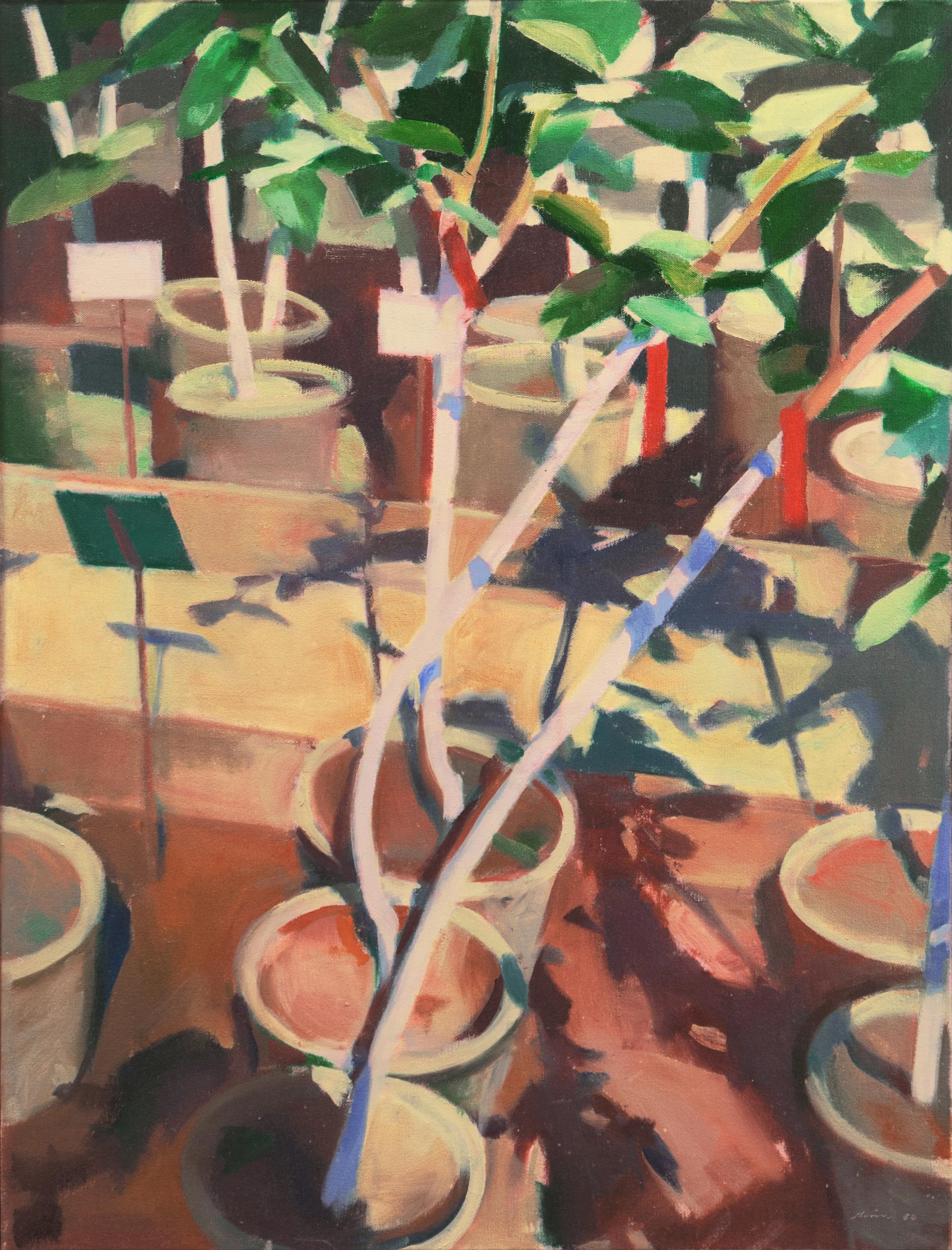 „In the Greenhouse Nursery“, Gump's, San Francisco Bay, Öl, Crocker Museum, UCSC – Painting von Boyd Gavin