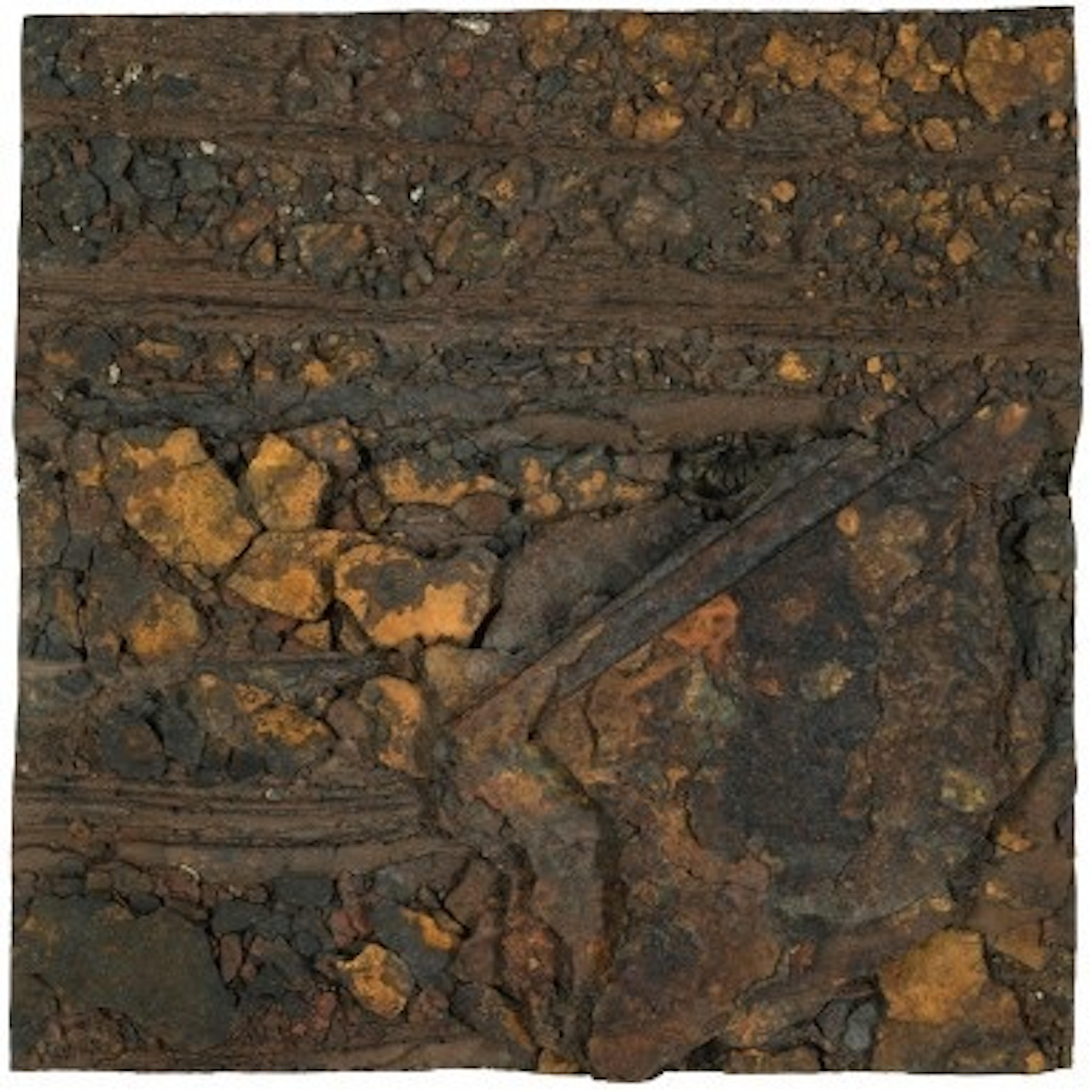 Rost-Studie