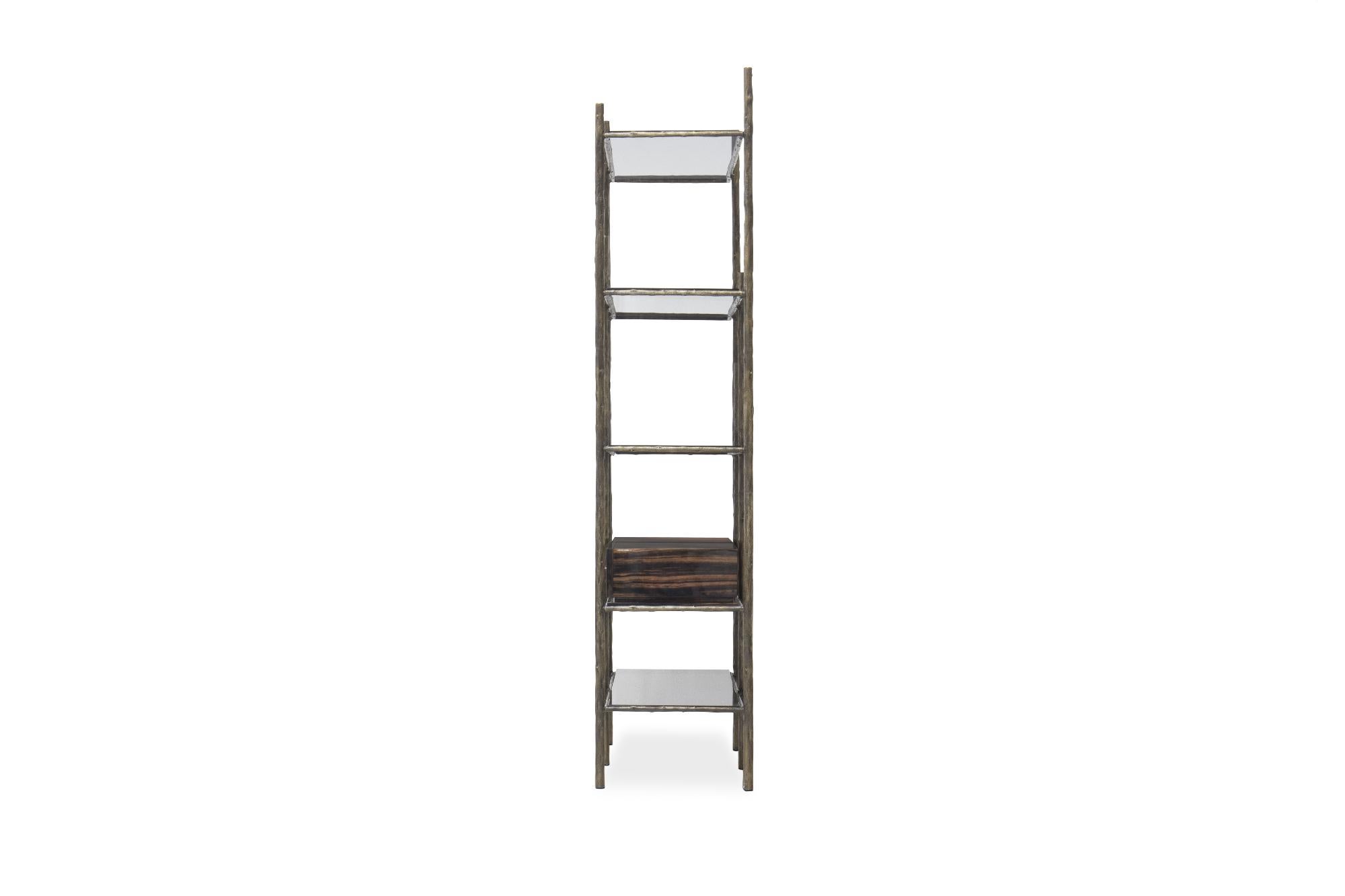 Contemporary Mambu Bookcase in Brushed Brass with Smoked Glass Detail For Sale