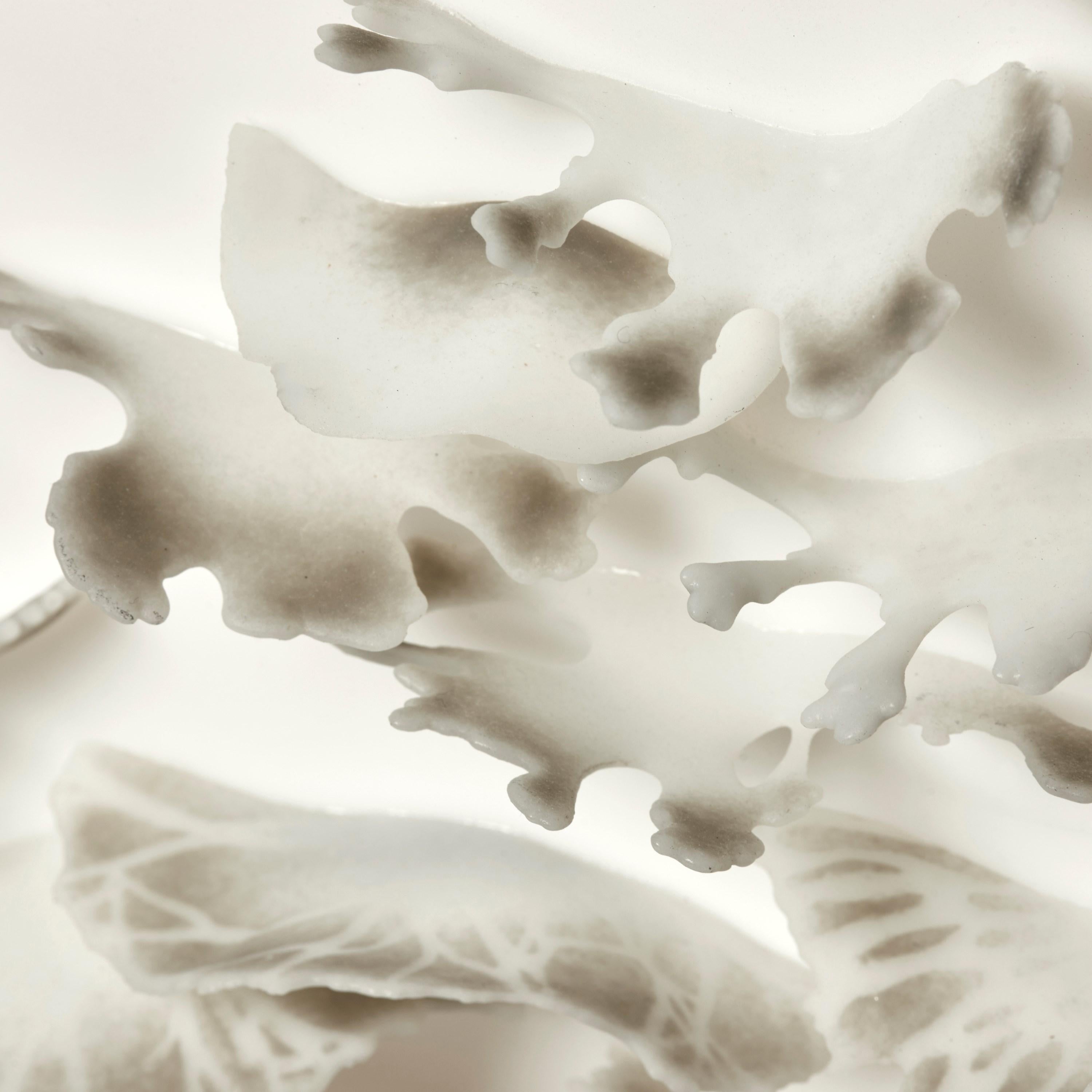 Hand-Crafted Bracket Mushrooms in Grey and White, a Glass Sculptural Plate by Verity Pulford For Sale