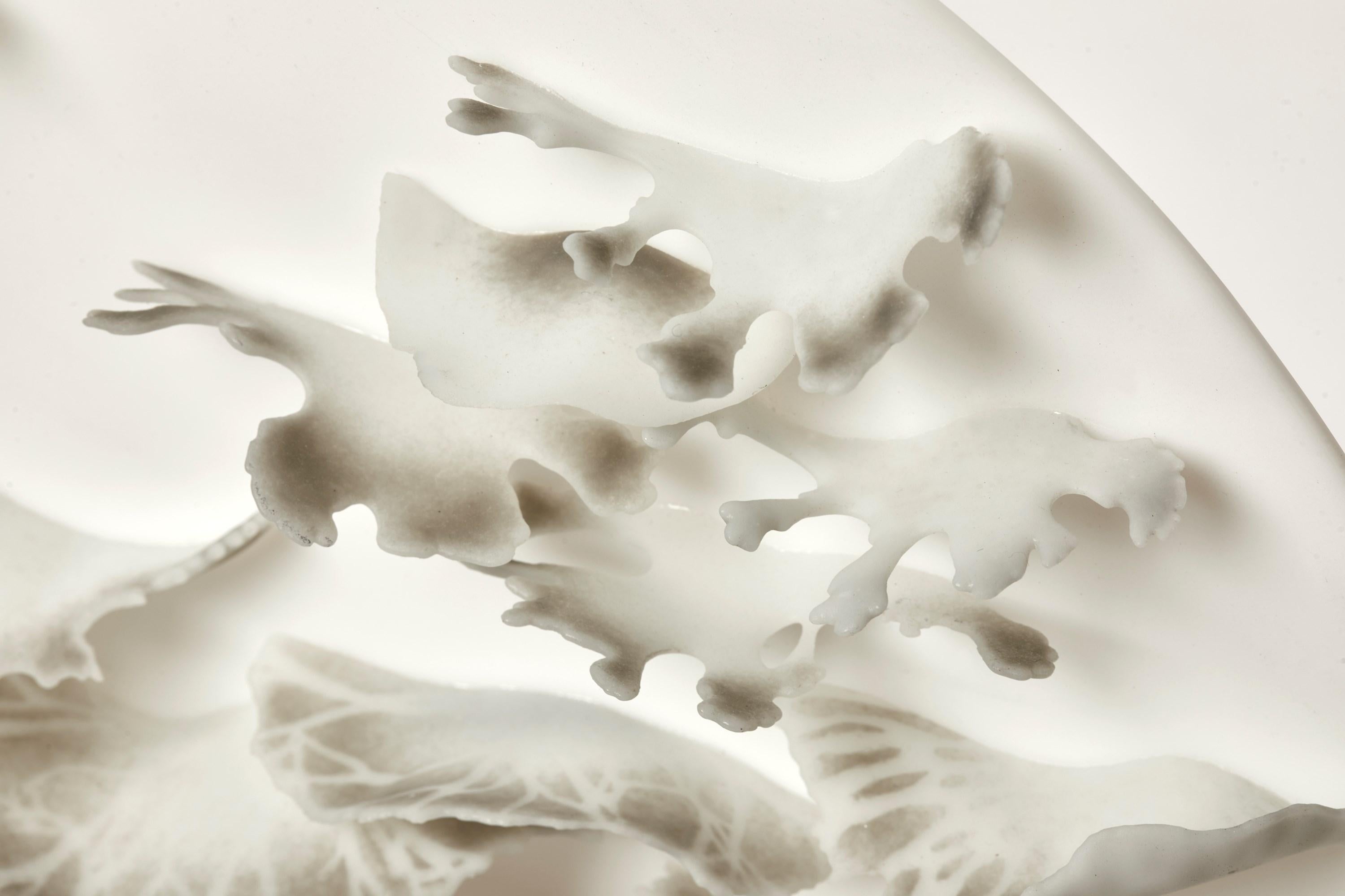 Bracket Mushrooms in Grey and White, a Glass Sculptural Plate by Verity Pulford For Sale 1