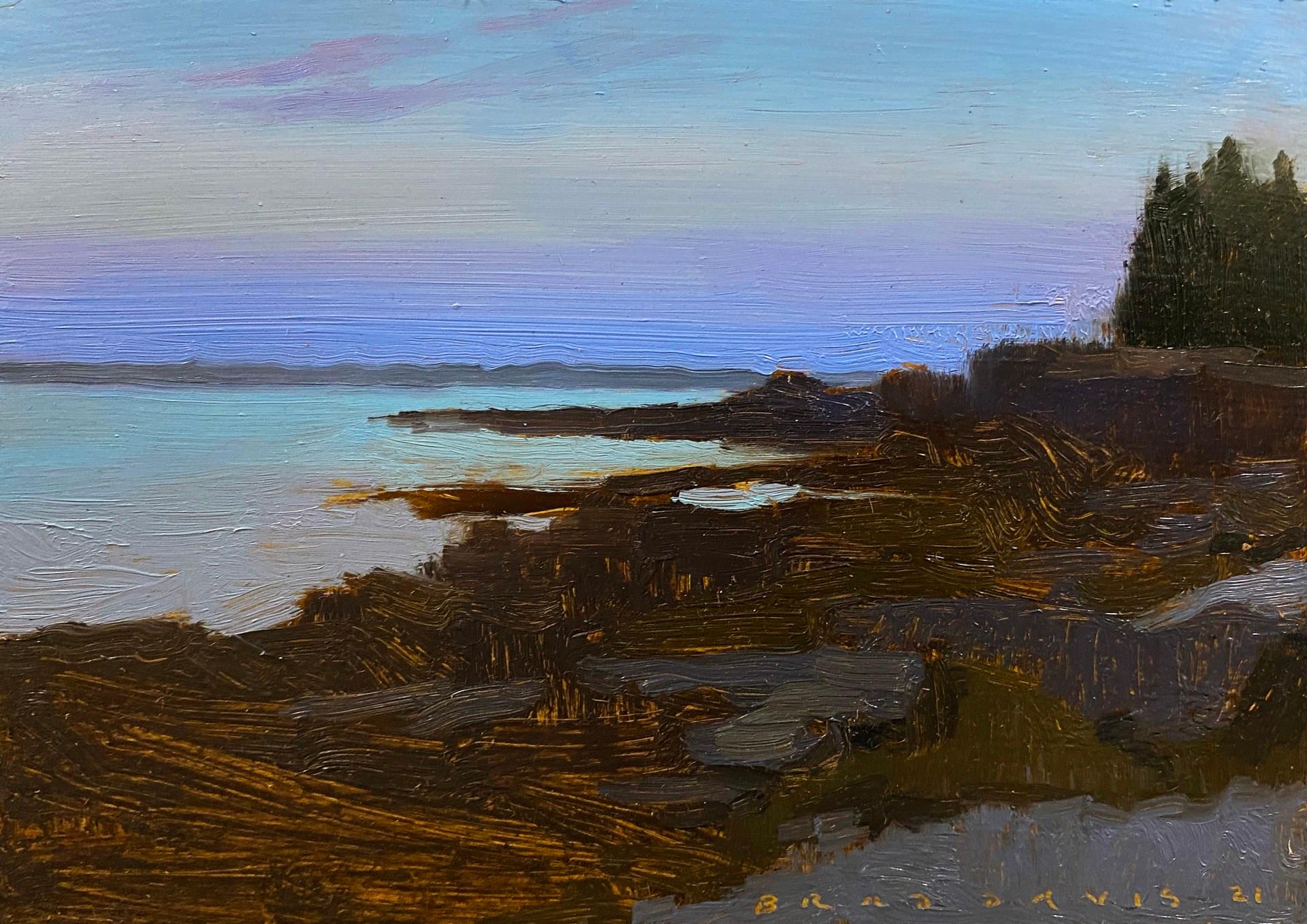 Brad Davis Landscape Painting - Maine Coast