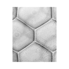 Bubble Shadows Print 13 de Brad Miller (INV# NP3192)