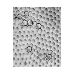 Bubble Shadows Print 17 de Brad Miller (INV# NP3194)