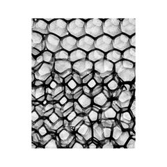 Bubble Shadows Print 20 von Brad Miller (INV-Nr. NP3125)