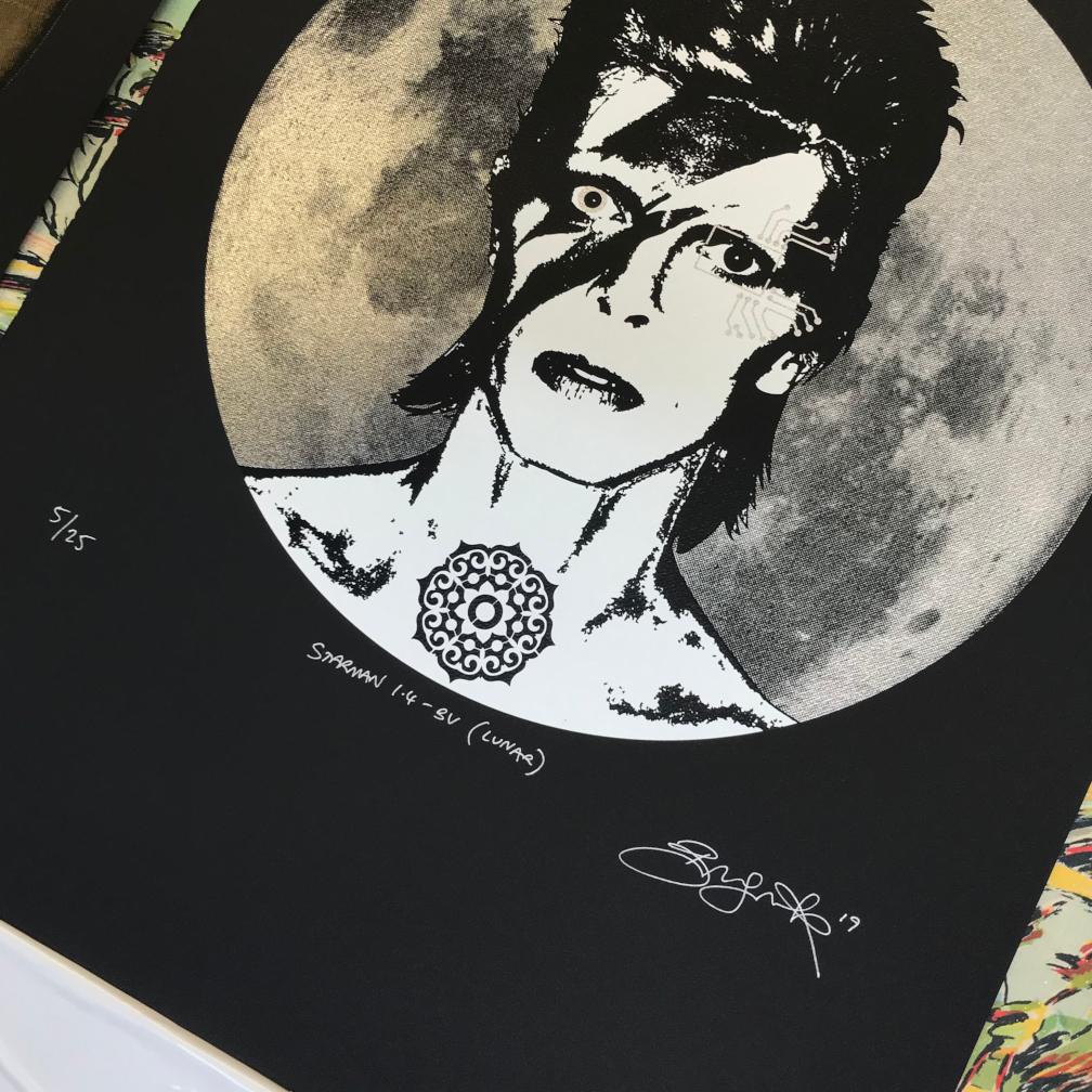 Starman 1.4 BV (Lunar) par Brad Novak en vente 3