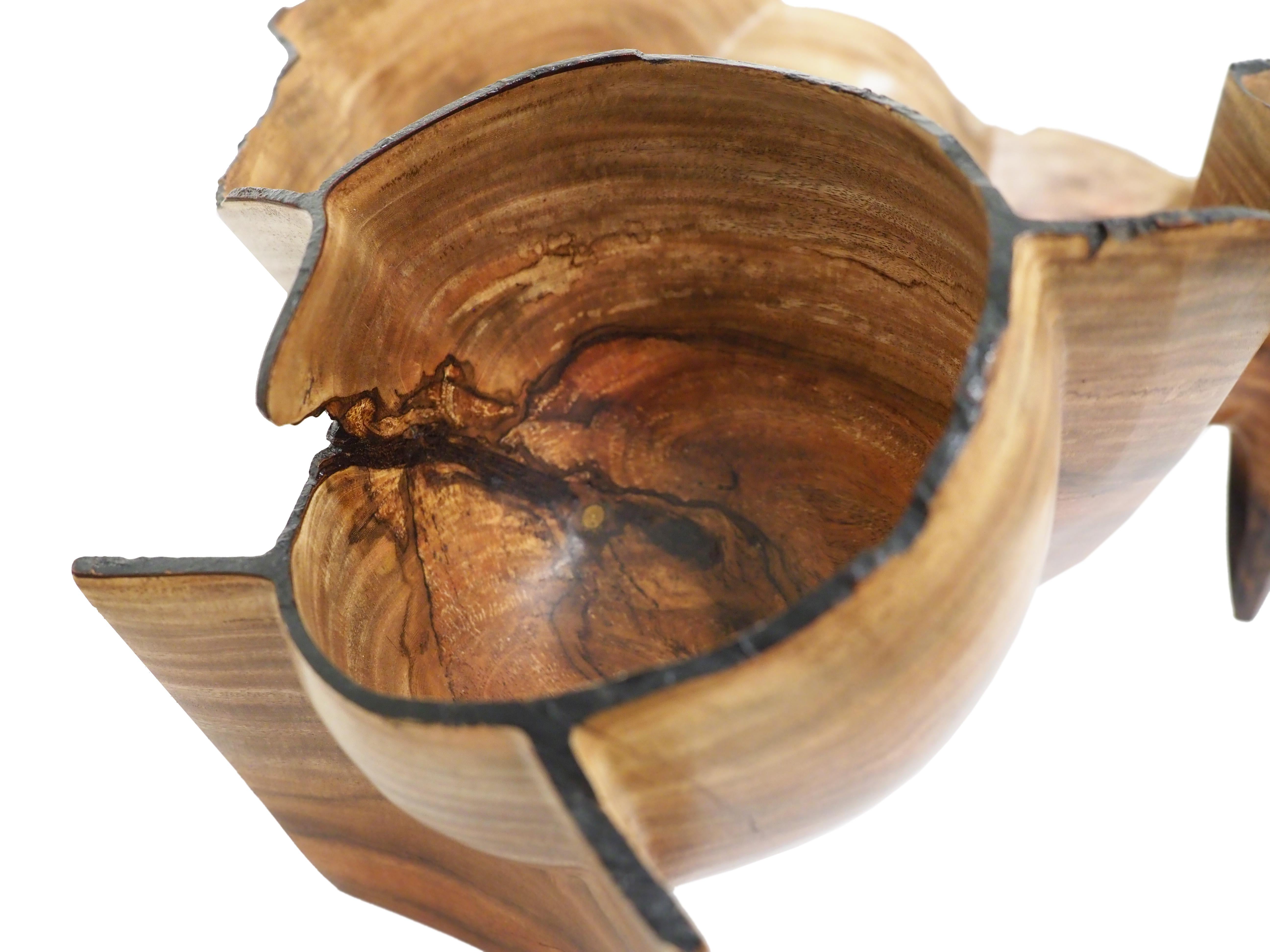Saturn Moon by Nashville Artist, Brad Sells, is a beautiful sculpture made from tamarind wood with hand tint.