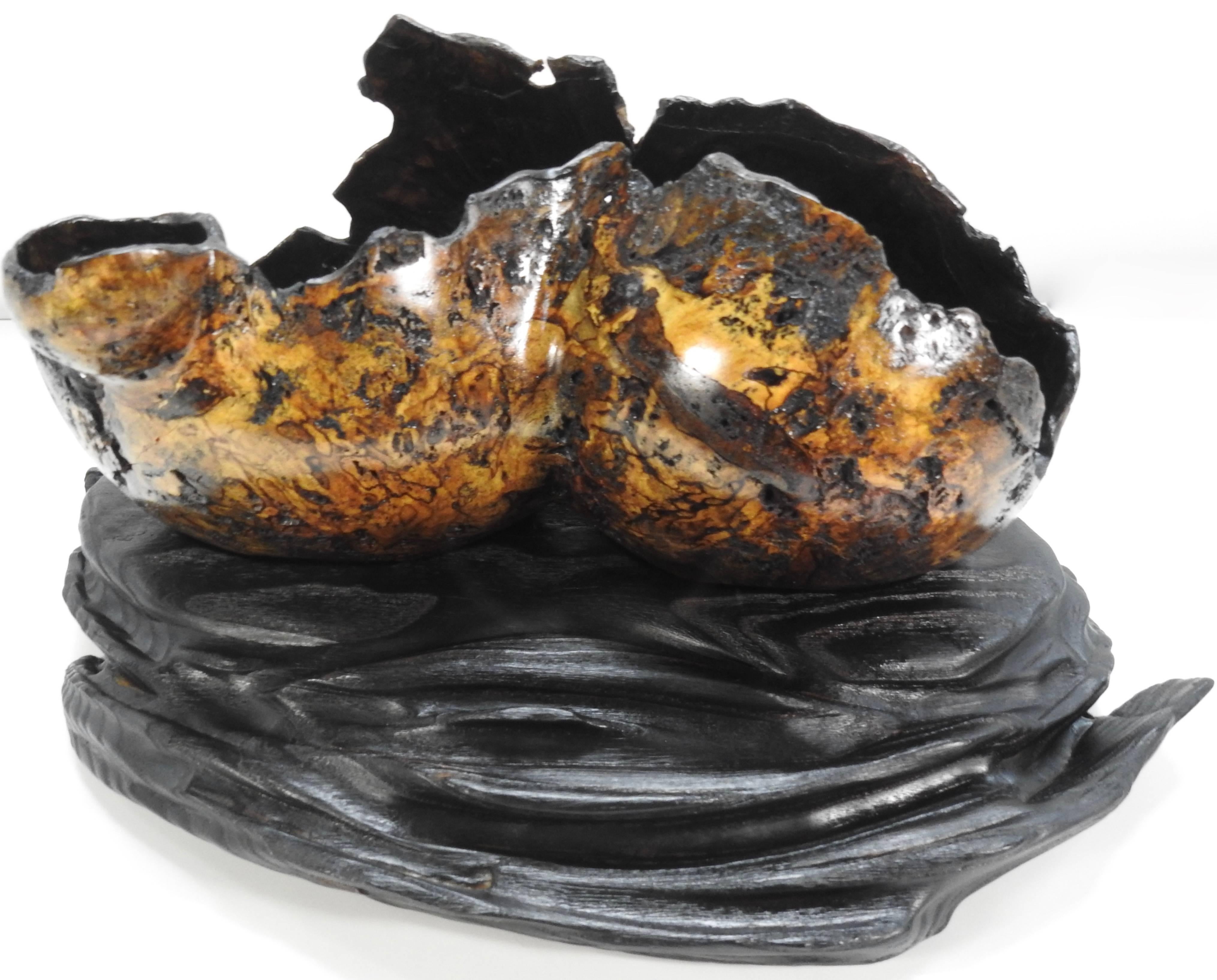 This is an exquisite piece of art by well-known artist, Brad Sells. The primary part of the sculpture is made of mango burl which has been sandblasted, burned, dyed and painted, all of which he considered an experiment in texture. The sculpture