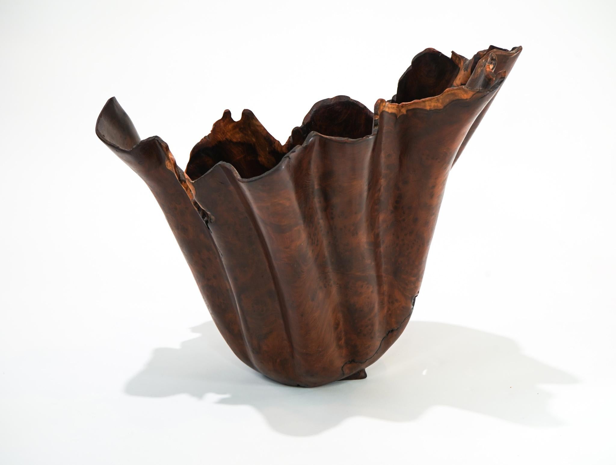 American Brad Sells Organic Modern Redwood Abstract Vessel Sculpture 1997 For Sale