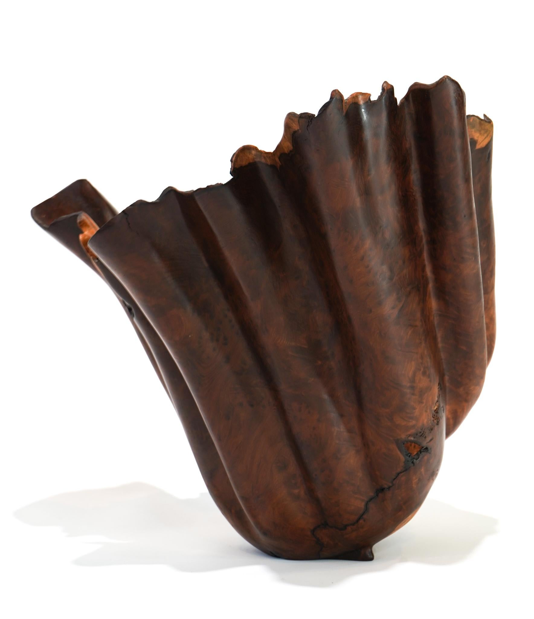 20th Century Brad Sells Organic Modern Redwood Abstract Vessel Sculpture 1997 For Sale