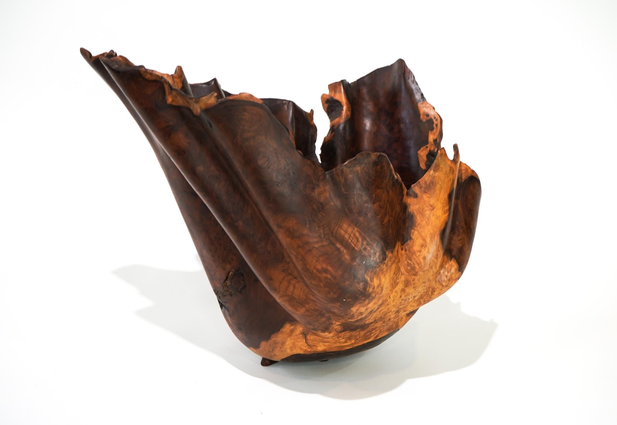 Other Brad Sells Organic Modern Redwood Abstract Vessel Sculpture 1997 For Sale