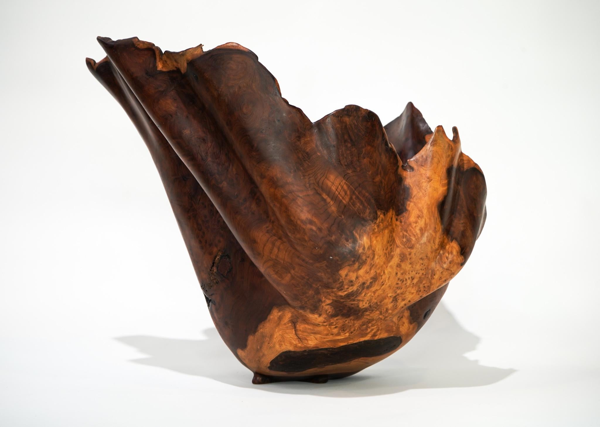 Brad Sells Organic Modern Redwood Abstract Vessel Sculpture 1997 For Sale 2