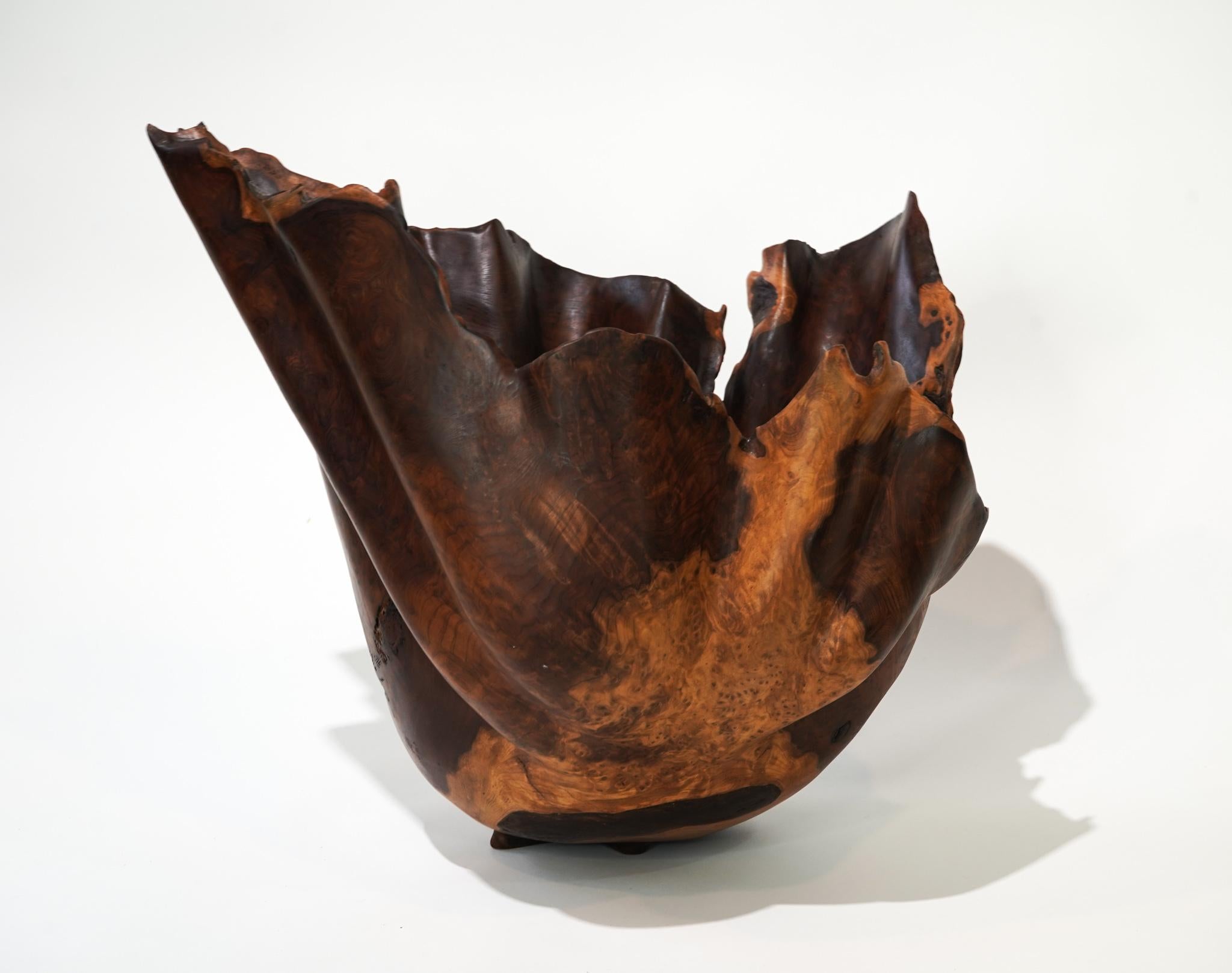 Brad Sells Organic Modern Redwood Abstract Vessel Sculpture 1997 For Sale 3