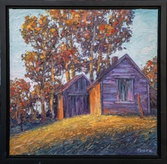Used Evening Sheds
