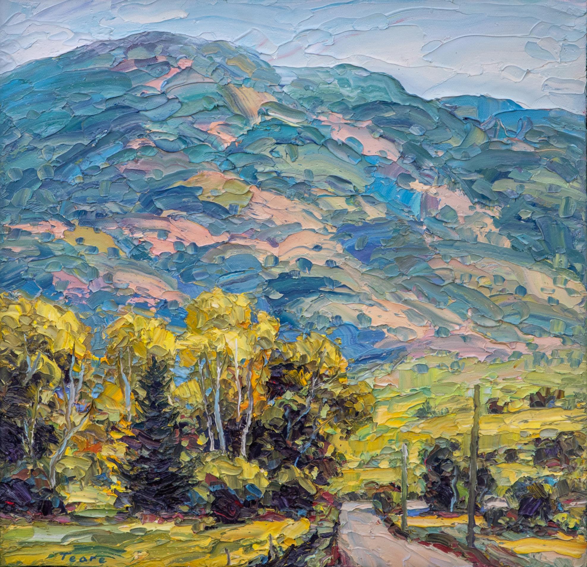Sommerliche Vorgebirge (Impressionismus), Painting, von Brad Teare 