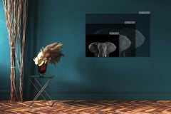 Afrikanischer Elefant #1 von Brad Wilson – Tierporträtfotografie