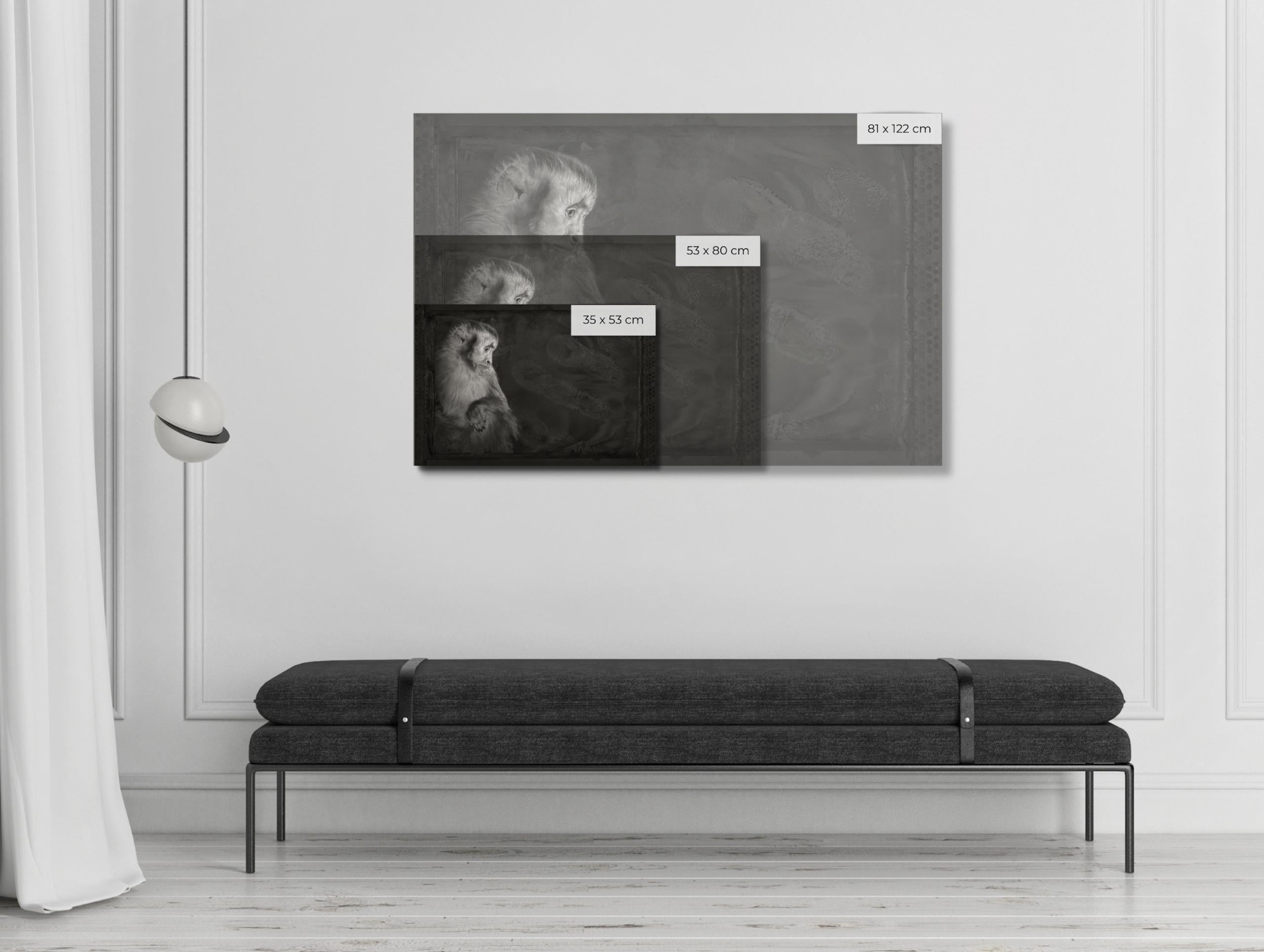 Artefacto XI, Mono capuchino por Brad Wilson - Fotografía de retratos de animales 1