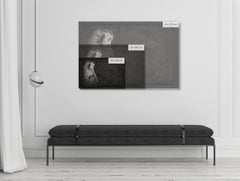 Artifact XI, Capuchin Monkey by Brad Wilson - Animal portrait photography