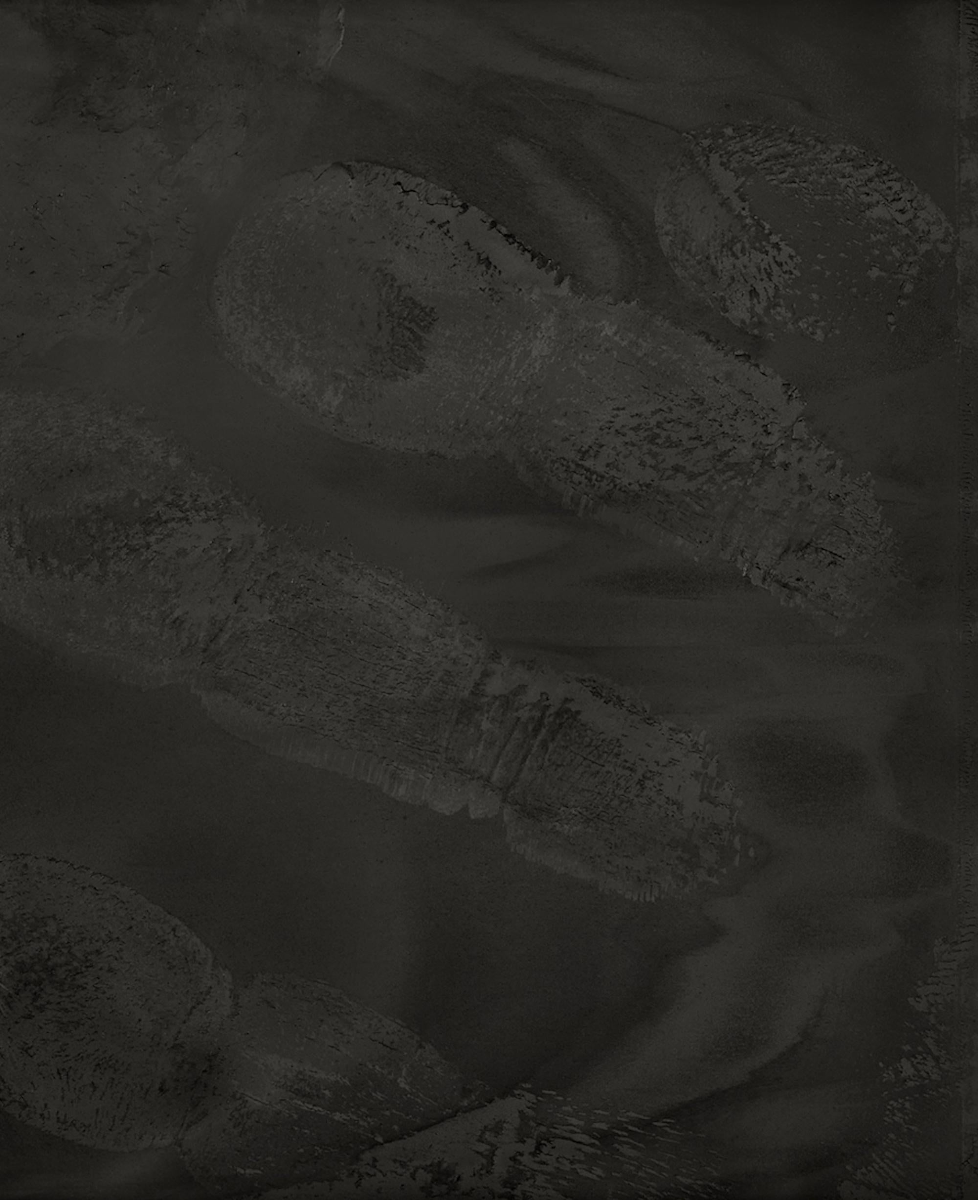 Artefacto XI, Mono capuchino por Brad Wilson - Fotografía de retratos de animales 4