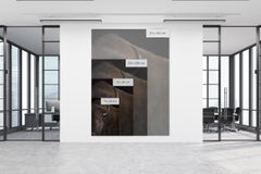 Bison #3, Santa Fe, New Mexico, USA 2019 by Brad Wilson - Animal photography