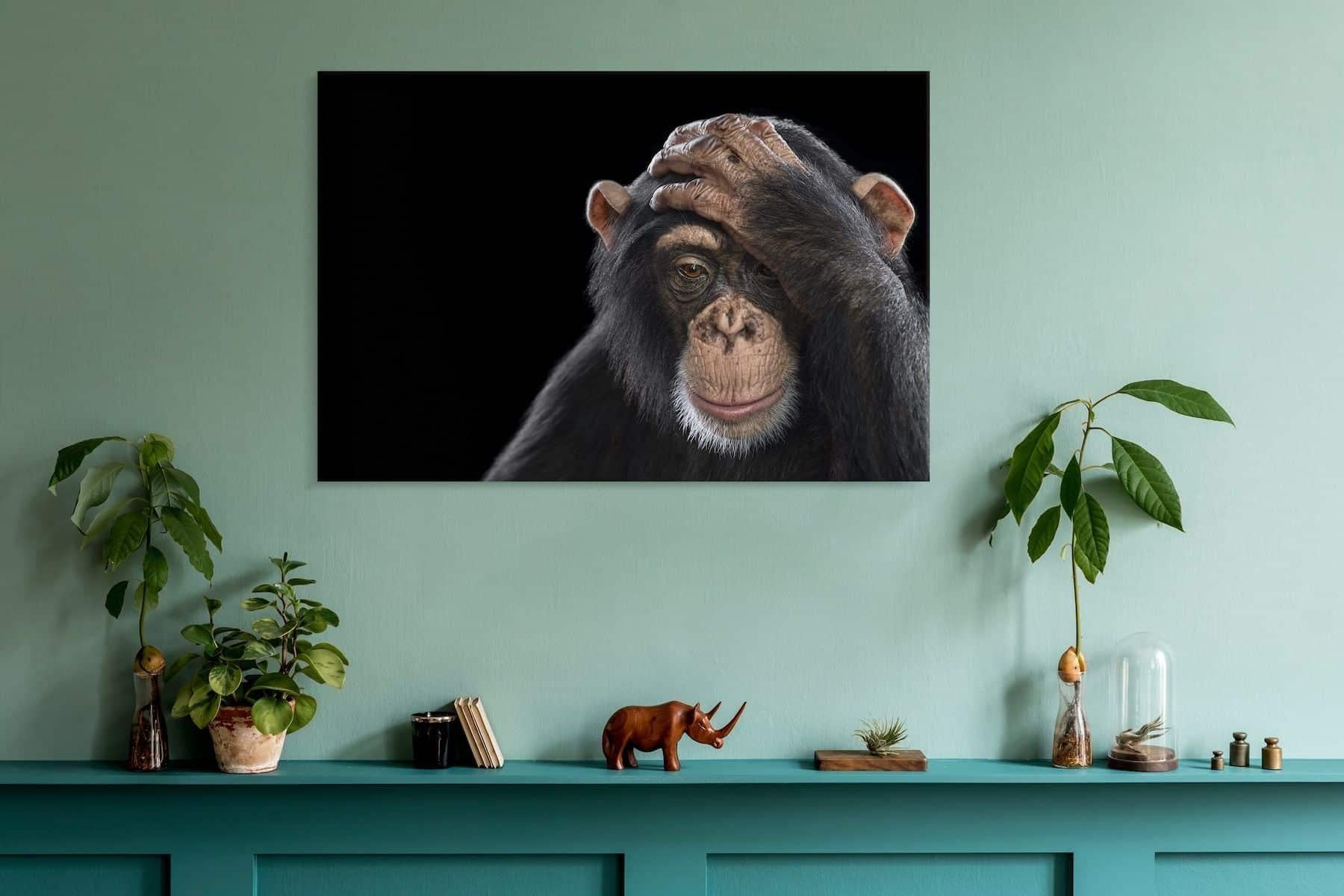 Chimpanzee #2 by Brad Wilson  - Animal portrait photography For Sale 2