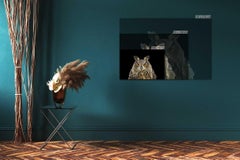 Eurasian Eagle Owl #1 by Brad Wilson - Animal portrait photography, wild bird