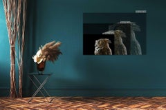 Great Horned Owl #1 by Brad Wilson - Animal portrait photography, wild bird