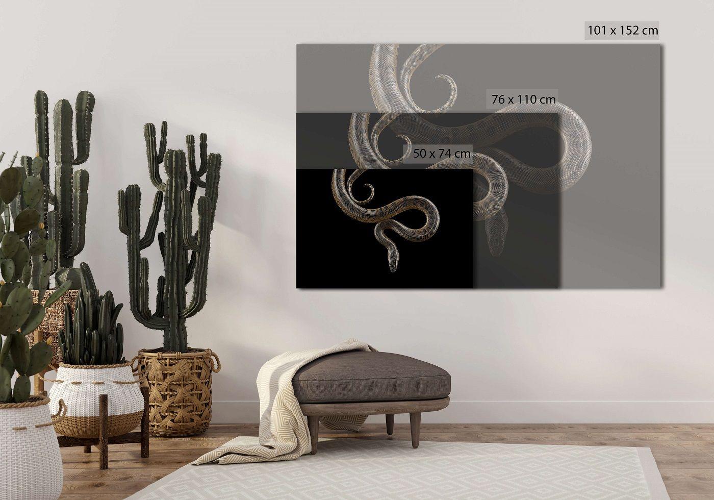 Grüne Anaconda #1 von Brad Wilson – Tierporträtfotografie im Angebot 1