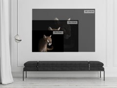 Mountain Lion #4 par Brad Wilson - Photographie de portrait animalier, chat sauvage