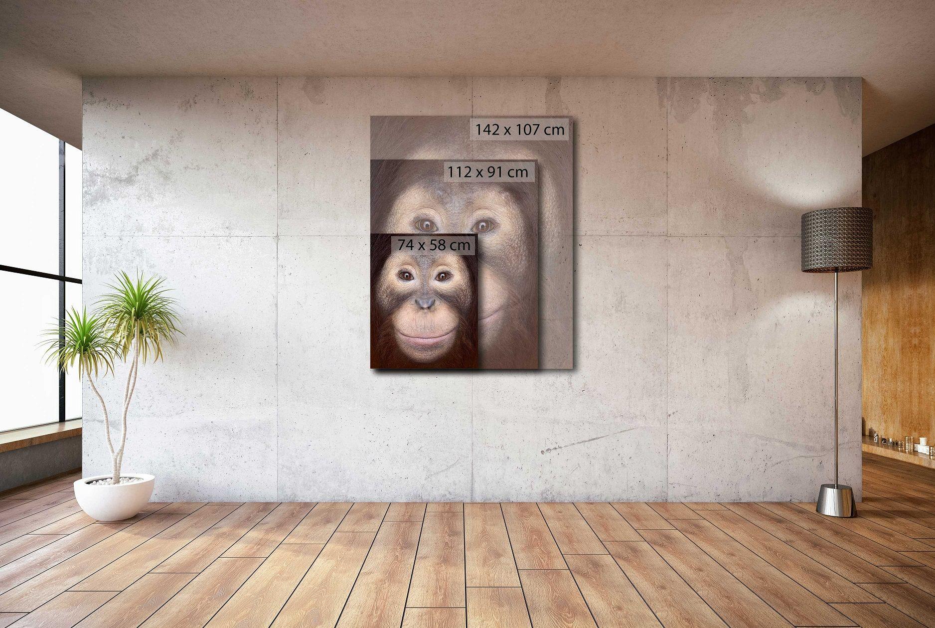 Orangutan #1 von Brad Wilson – Tierporträtfotografie im Angebot 1