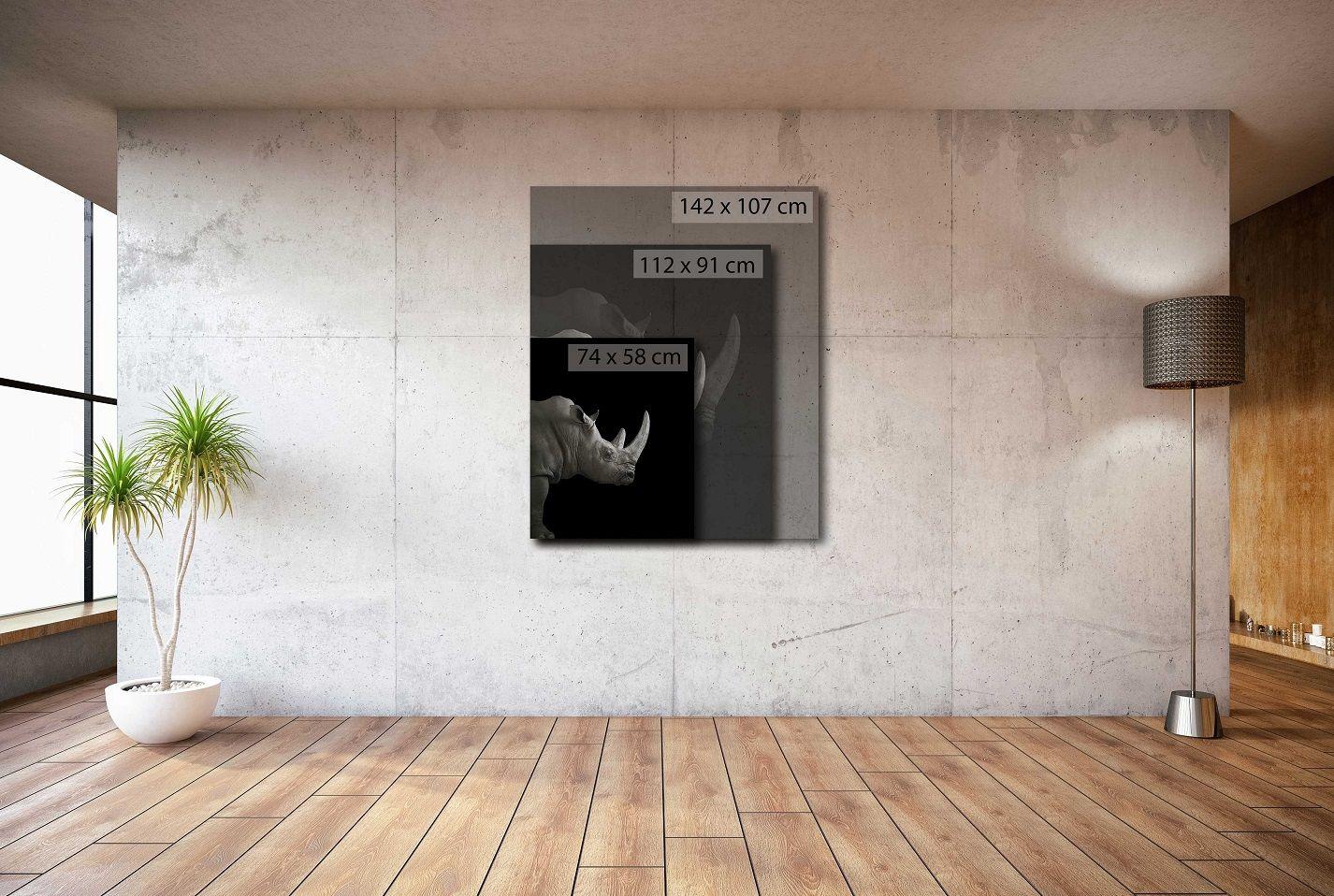 Rhinoceros #2 von Brad Wilson – Tierporträtfotografie im Angebot 1