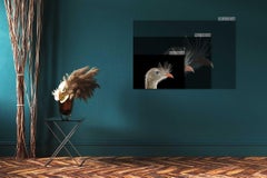 Seriema #1 by Brad Wilson - Animal portrait photography, wild bird