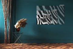 Zebra #7 by Brad Wilson - Animal portrait photography, wild