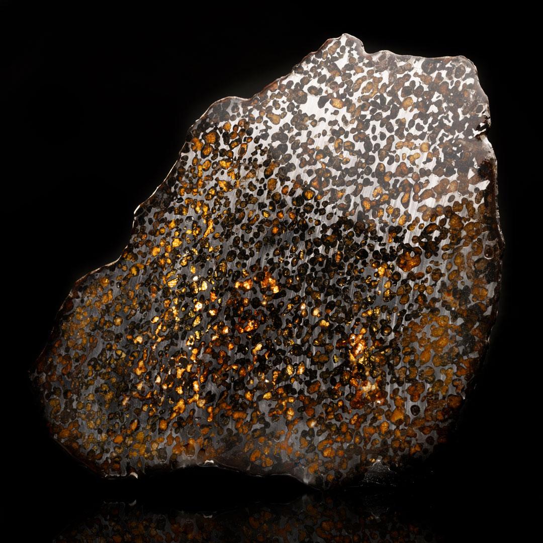 Dieser seltene Pallasit-Meteorit wurde 1810 in Weißrussland gefunden. Diese Scheibe zeigt wunderschöne orangefarbene und grüne Olivinkristalle - die Mineralform des Peridots - in einer Matrix aus Nickeleisen. Pallasit-Meteoriten sind eine
