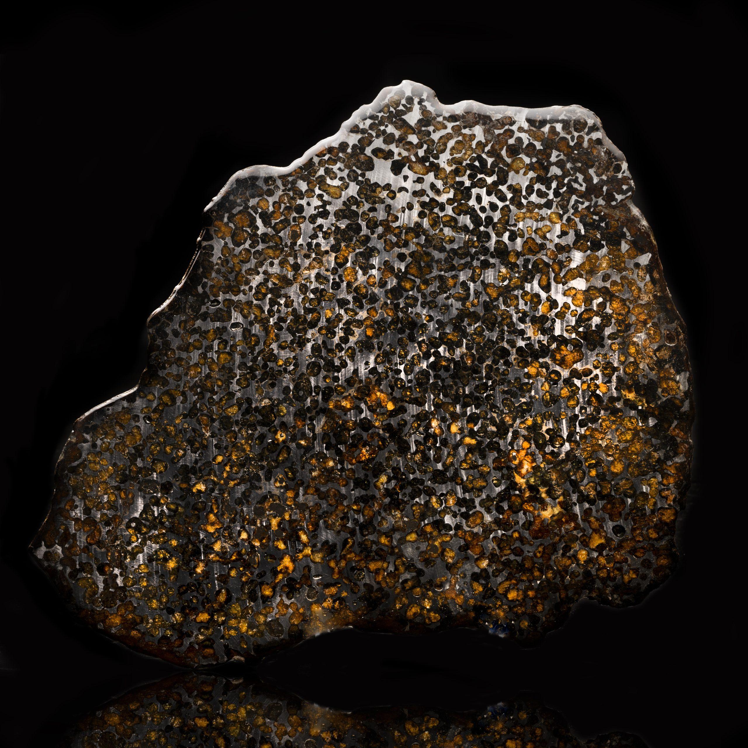 Brahin Pallasite Meteorite Slice // 12-3/4