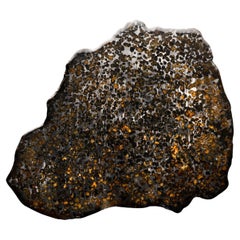 Brahin Pallasite Meteorite Slice // 12-3/4" Wide