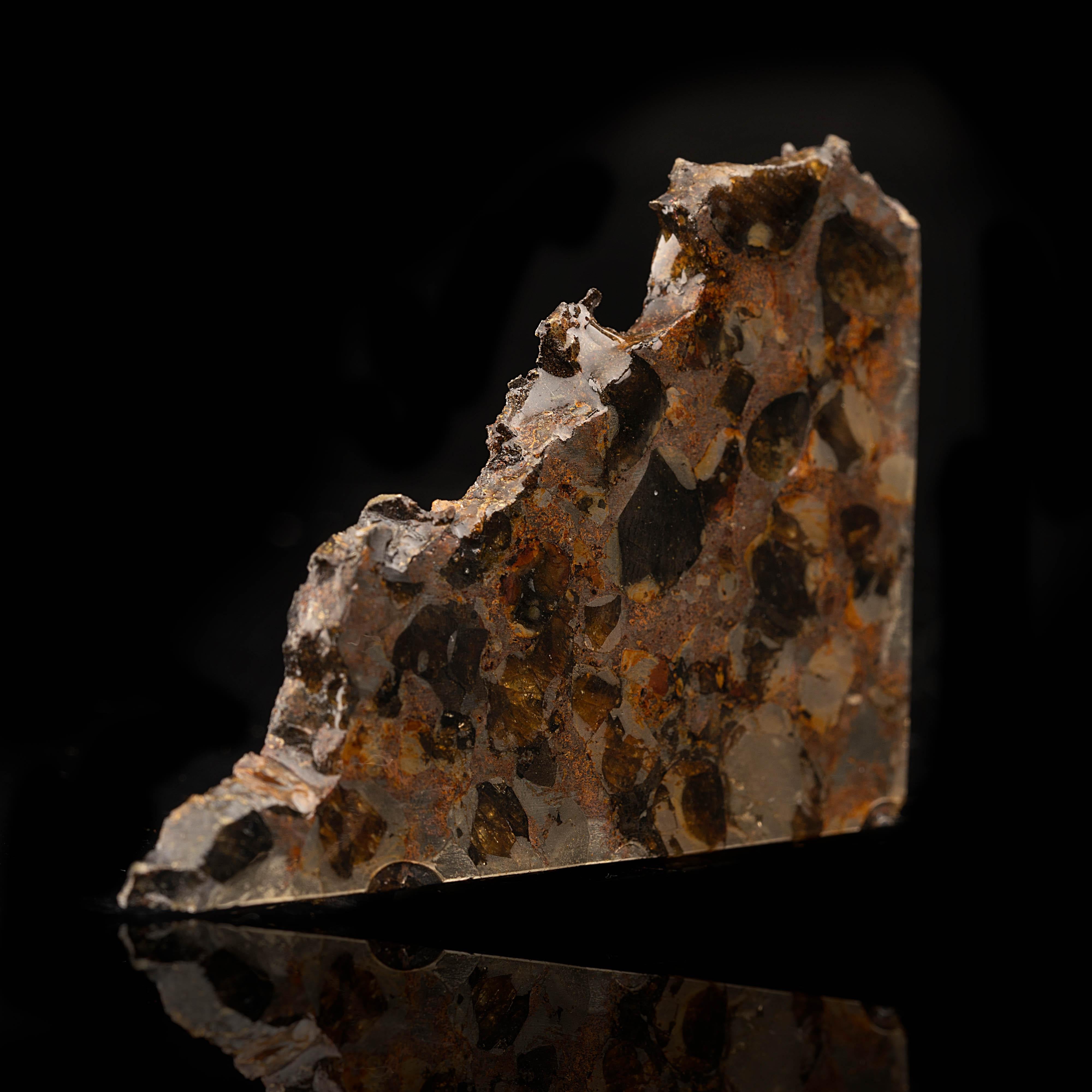 Brahin Pallasite Meteorite Slice In Excellent Condition For Sale In New York, NY