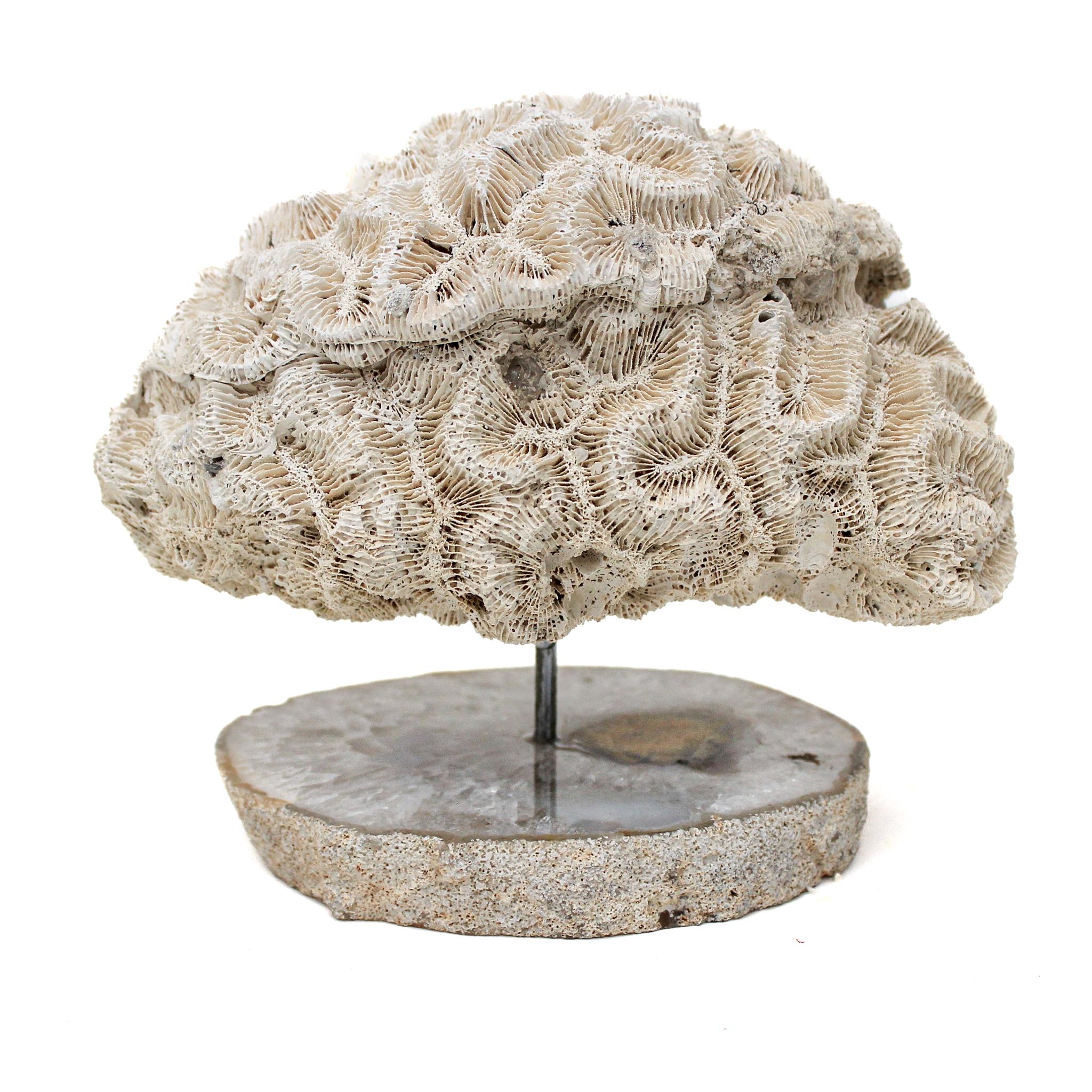 brain agate