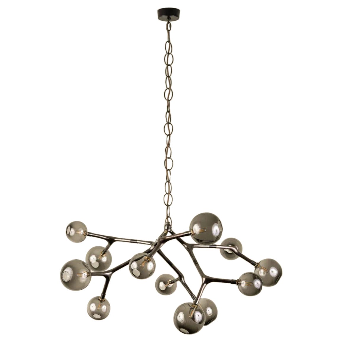 Branch 12 Smoke Glass and Bronze Pendant Hanging Lamp by Isabel Moncada